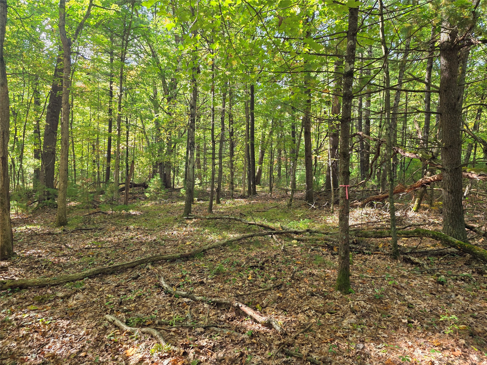 S10130 County Road H Property Photo 42