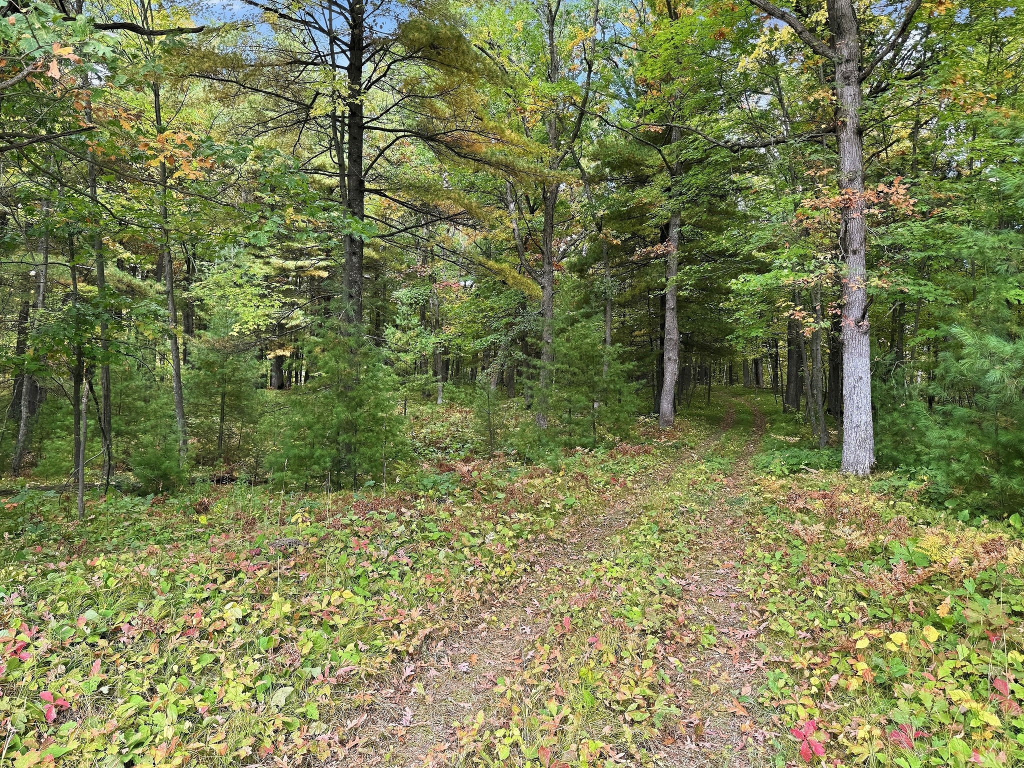 27937 County Road A Property Photo 58