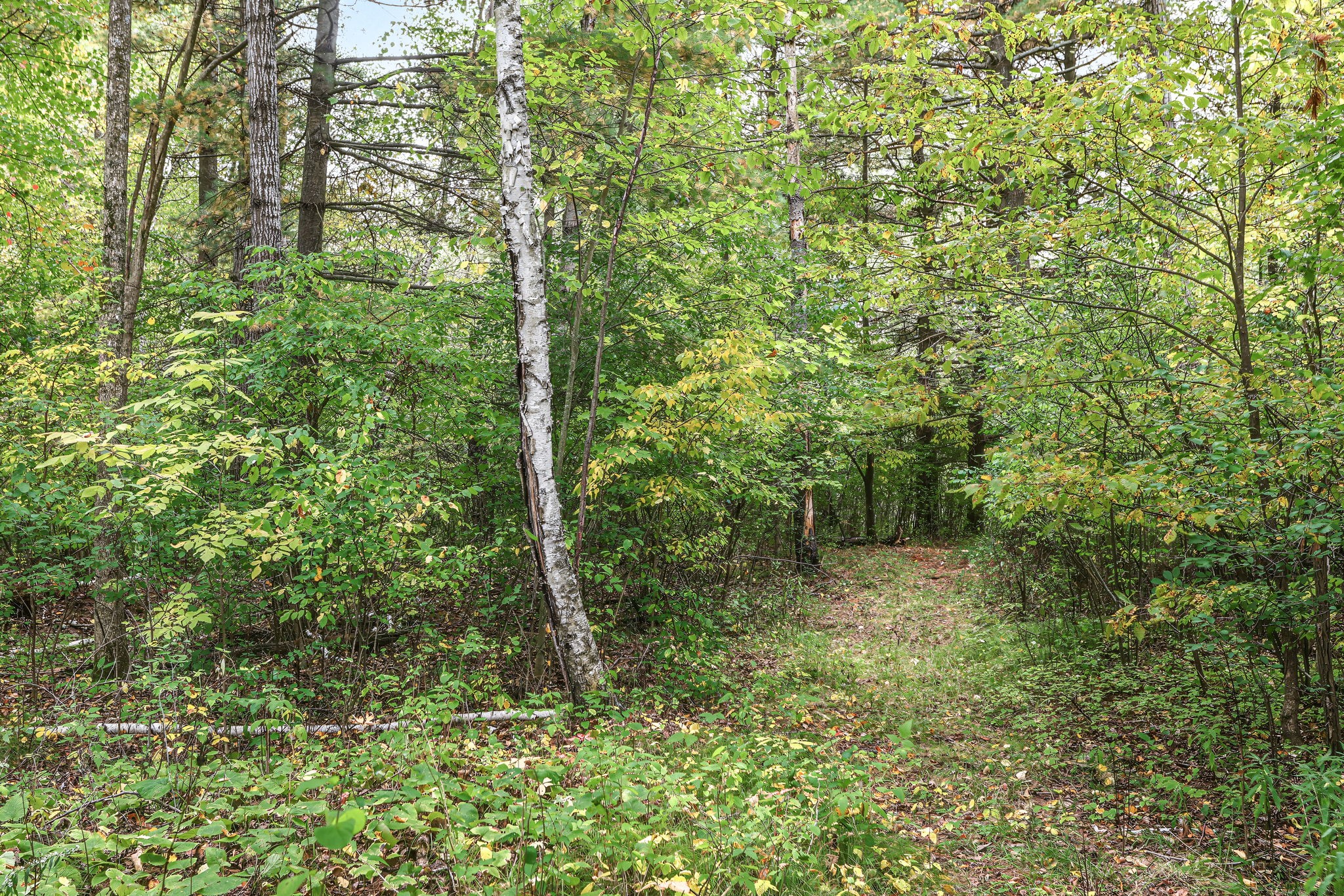 26811 County Highway X Property Photo 27