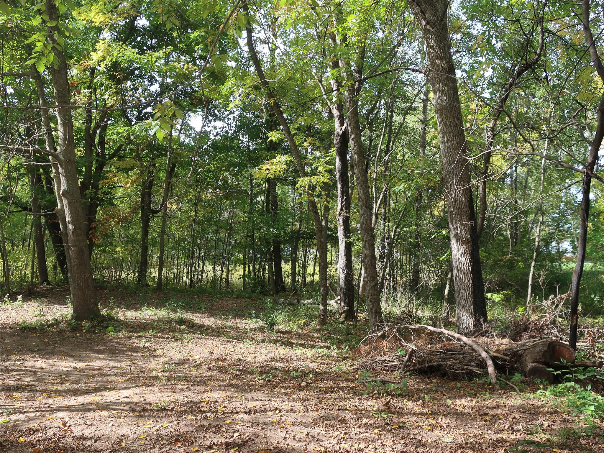 Tbd Old 35 Property Photo 5