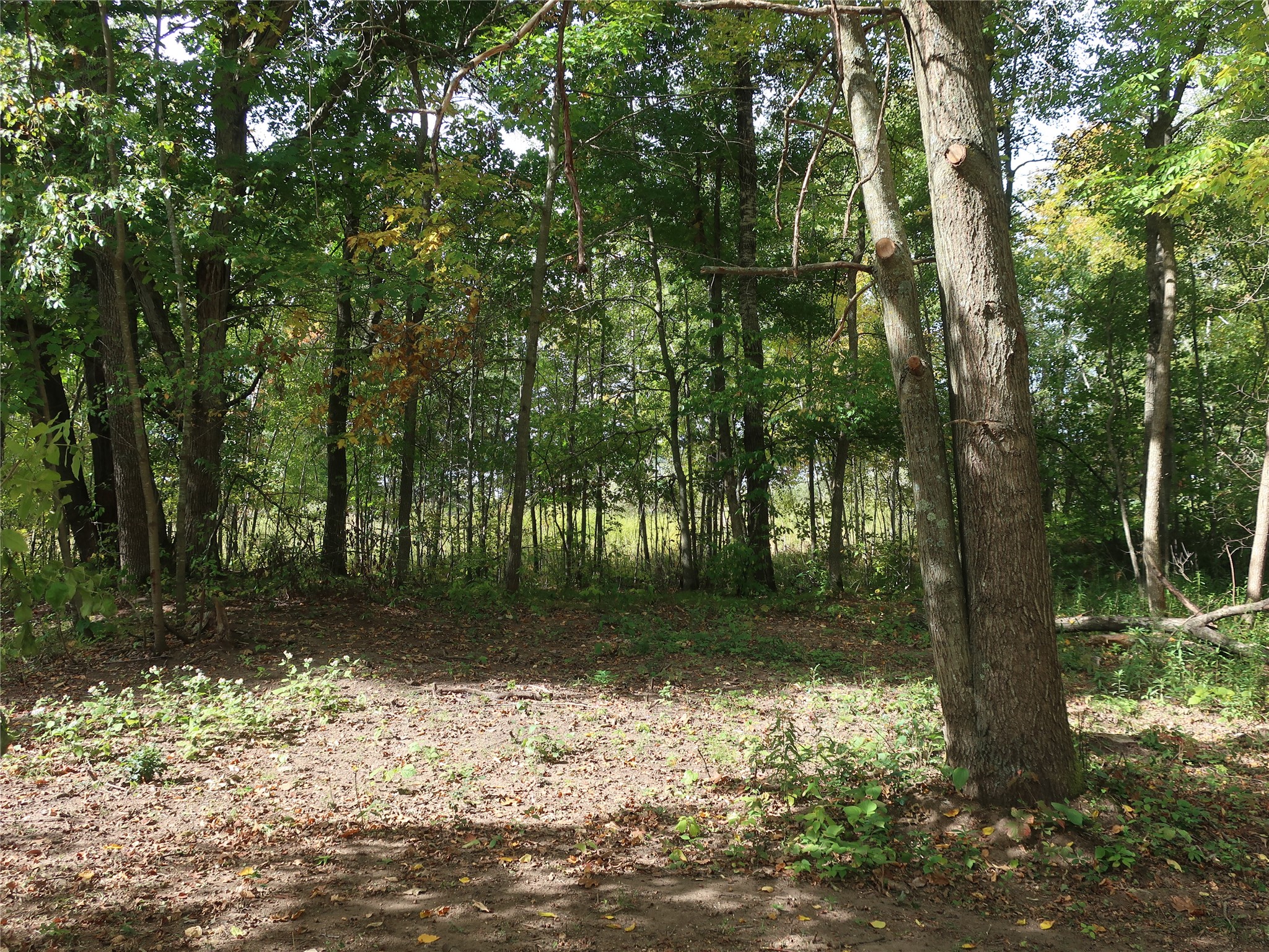 Tbd Old 35 Property Photo 6
