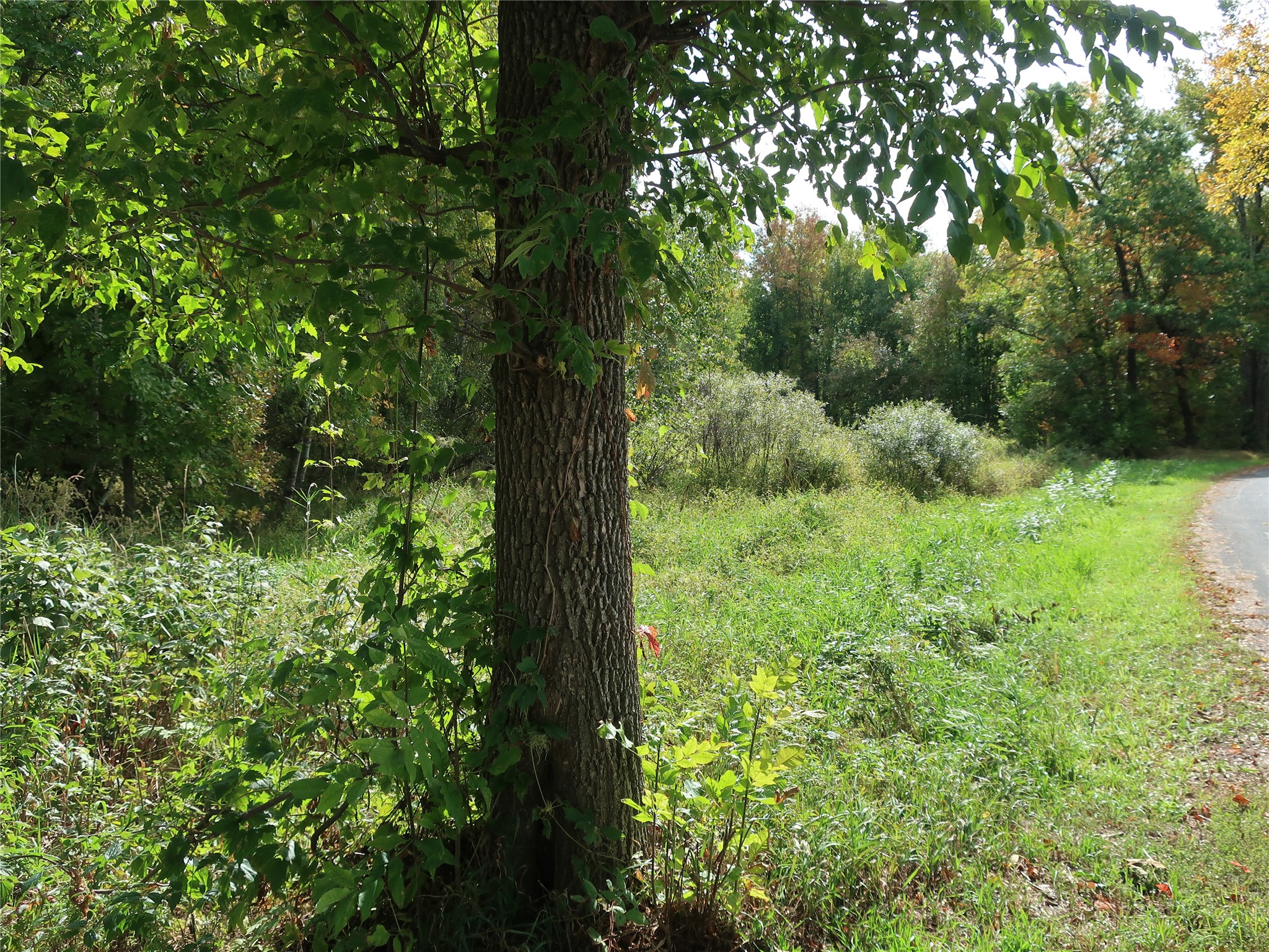 Tbd Old 35 Property Photo 8