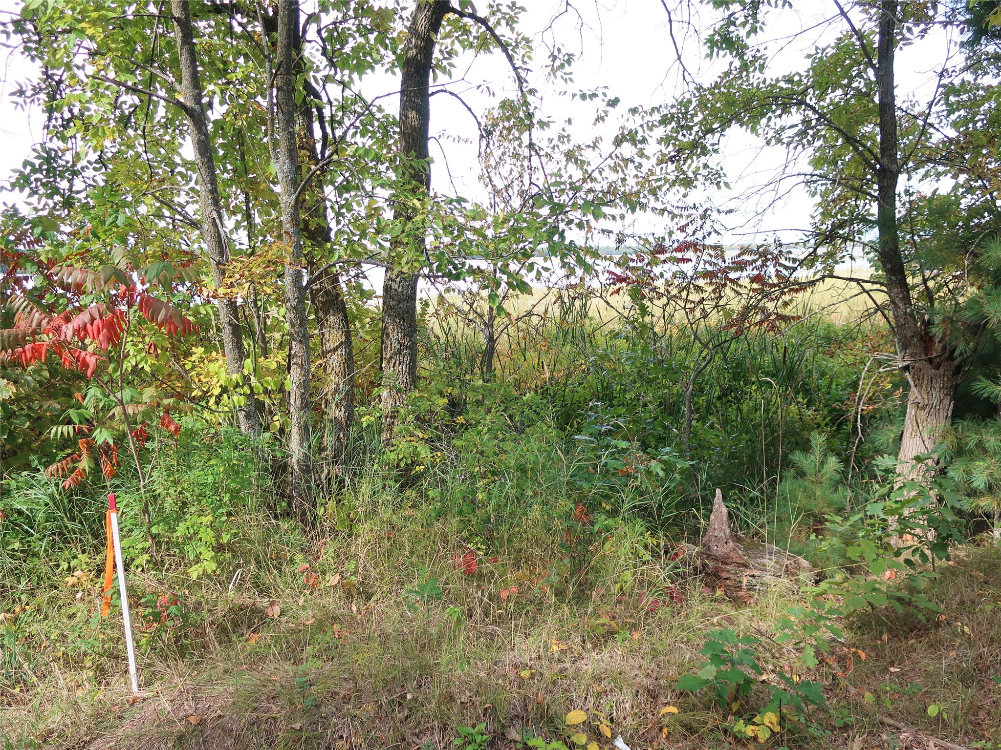 Tbd Old 35 Property Photo 10
