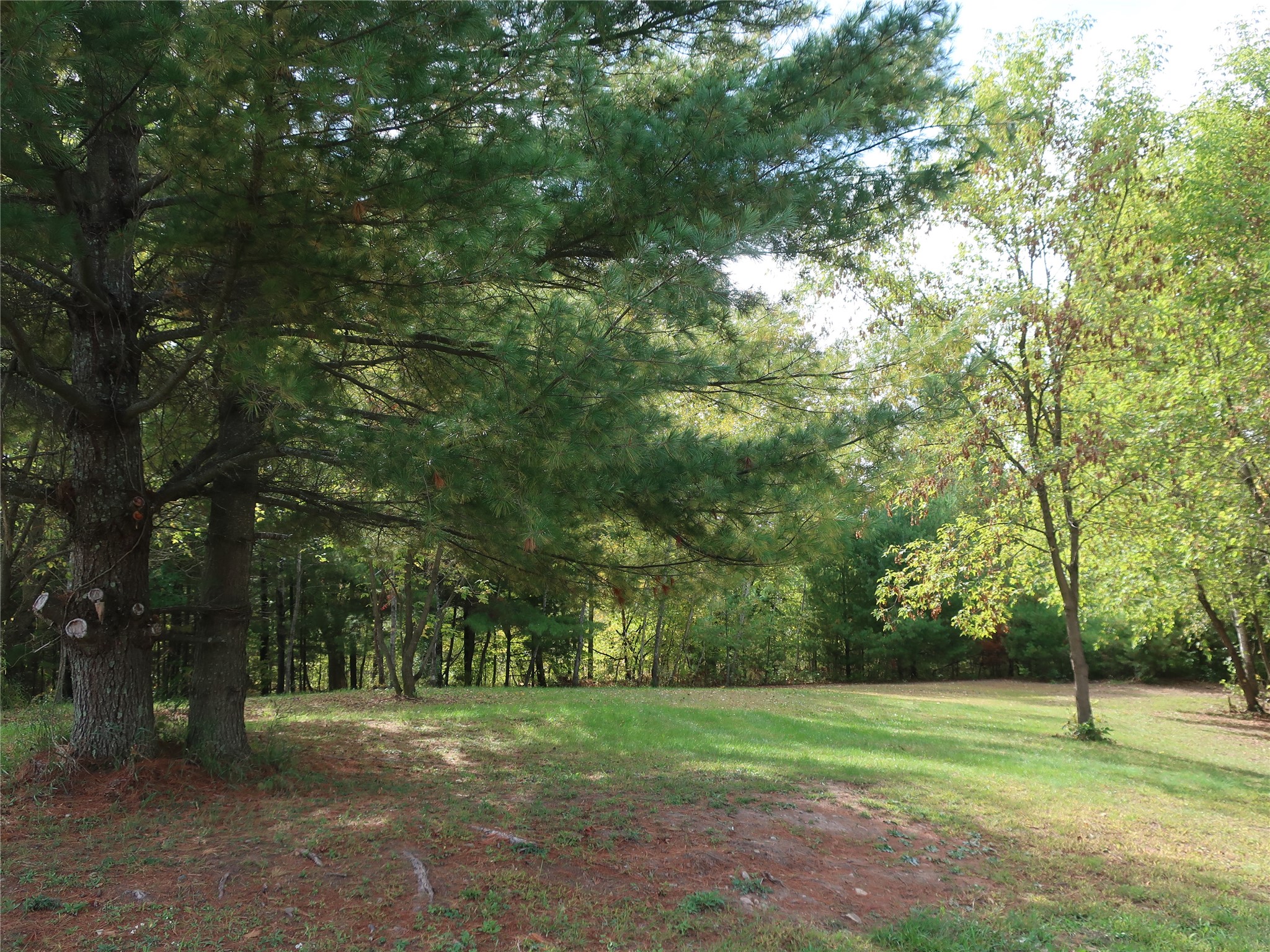 Tbd Old 35 Property Photo 17