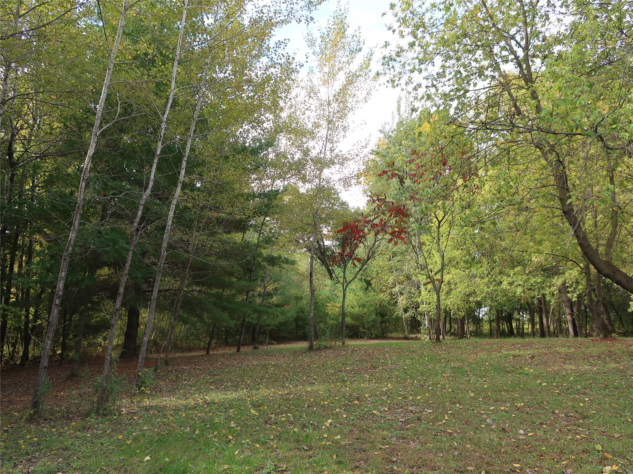 Tbd Old 35 Property Photo 22