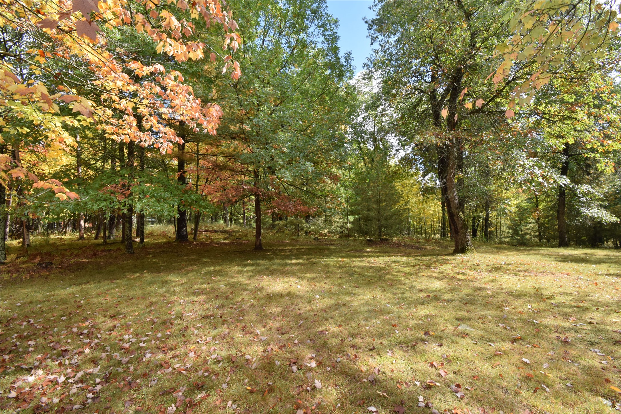 3568 Deer Lodge Lane Property Photo 46