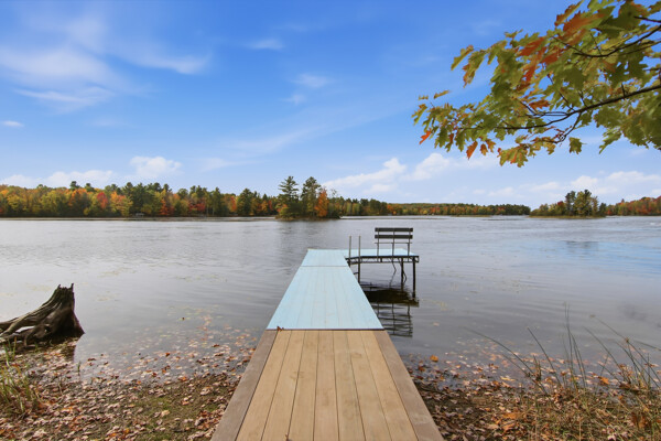 12557 Small Road Property Photo 5