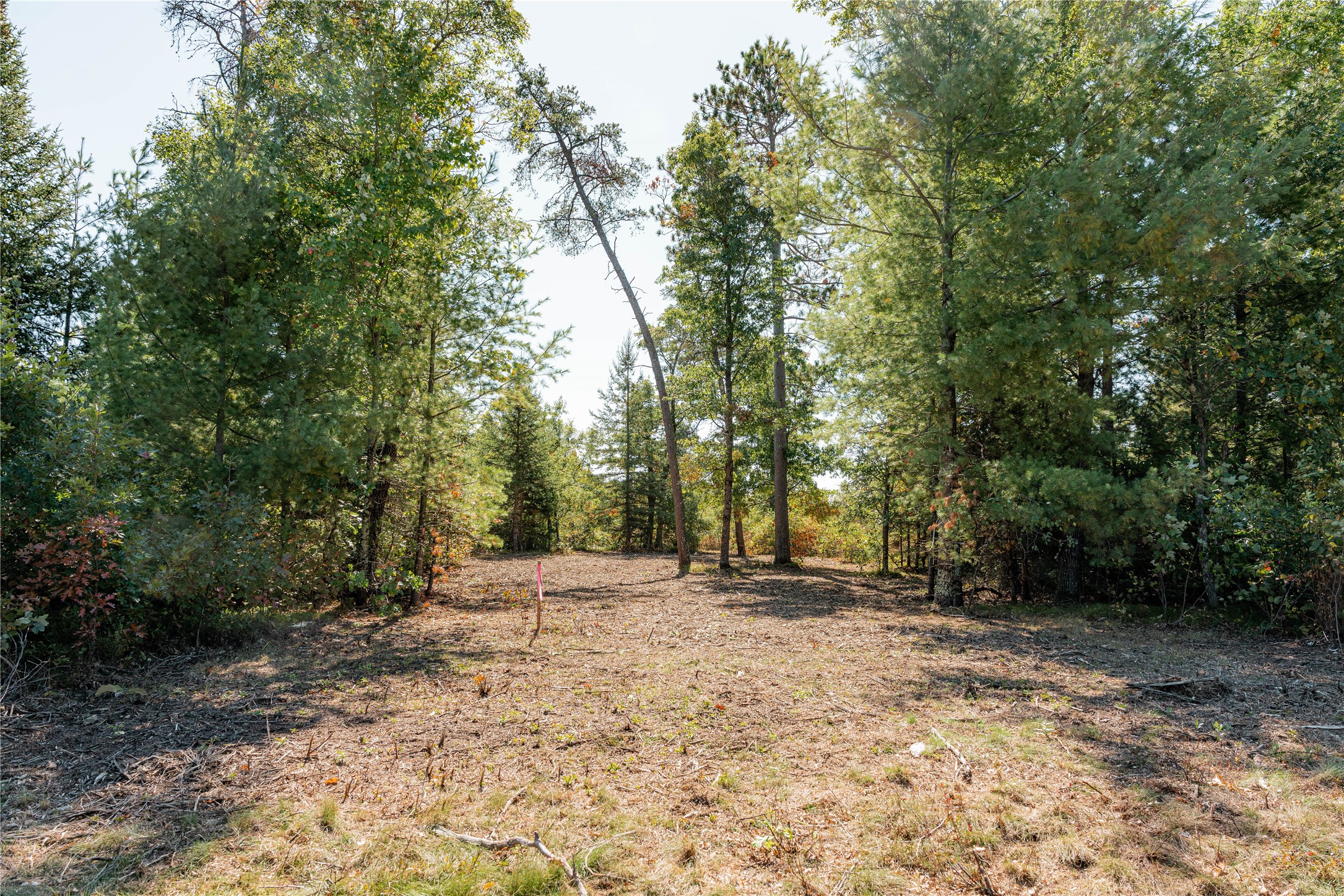 0 County Road T Property Photo 3