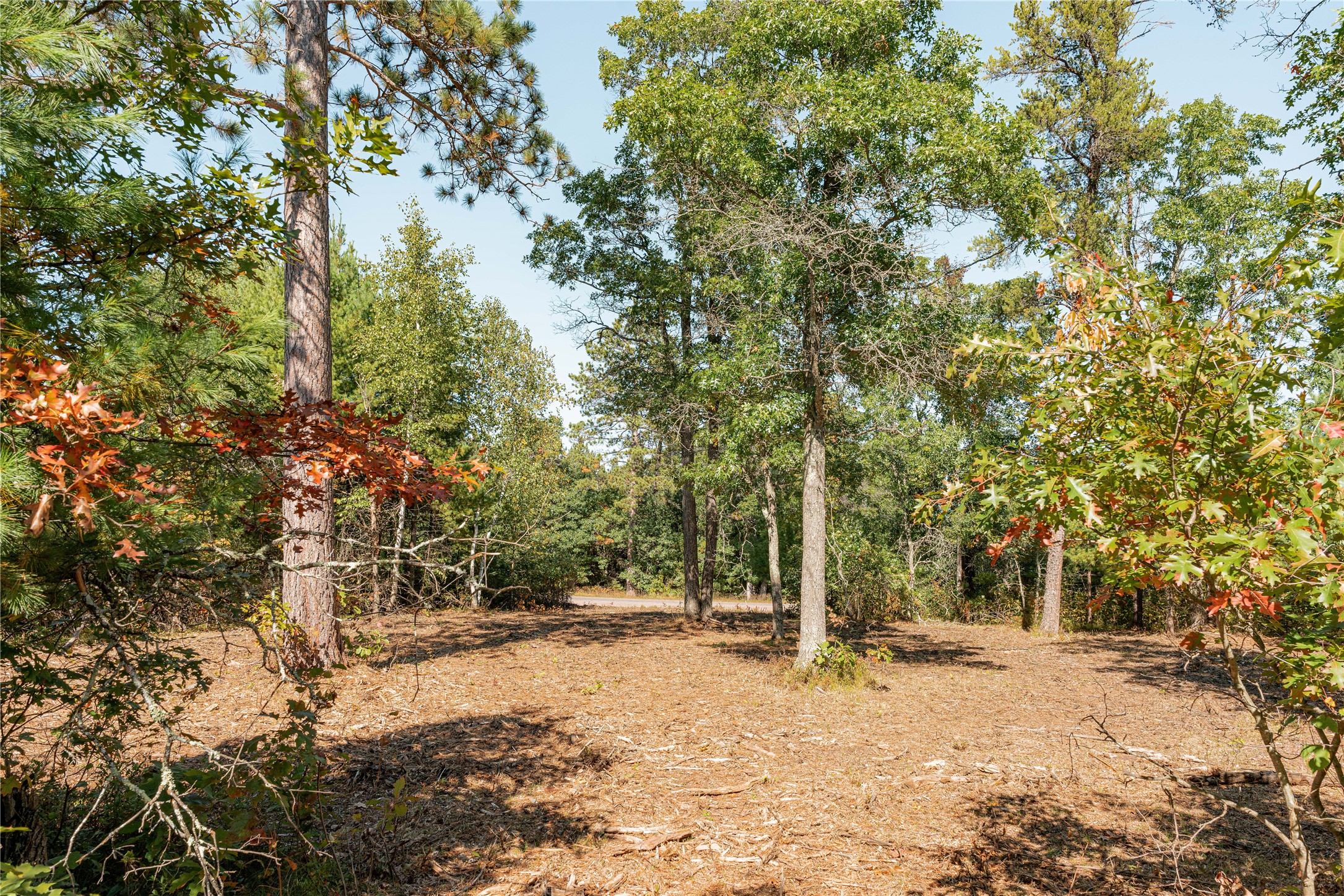 0 County Road T Property Photo 4
