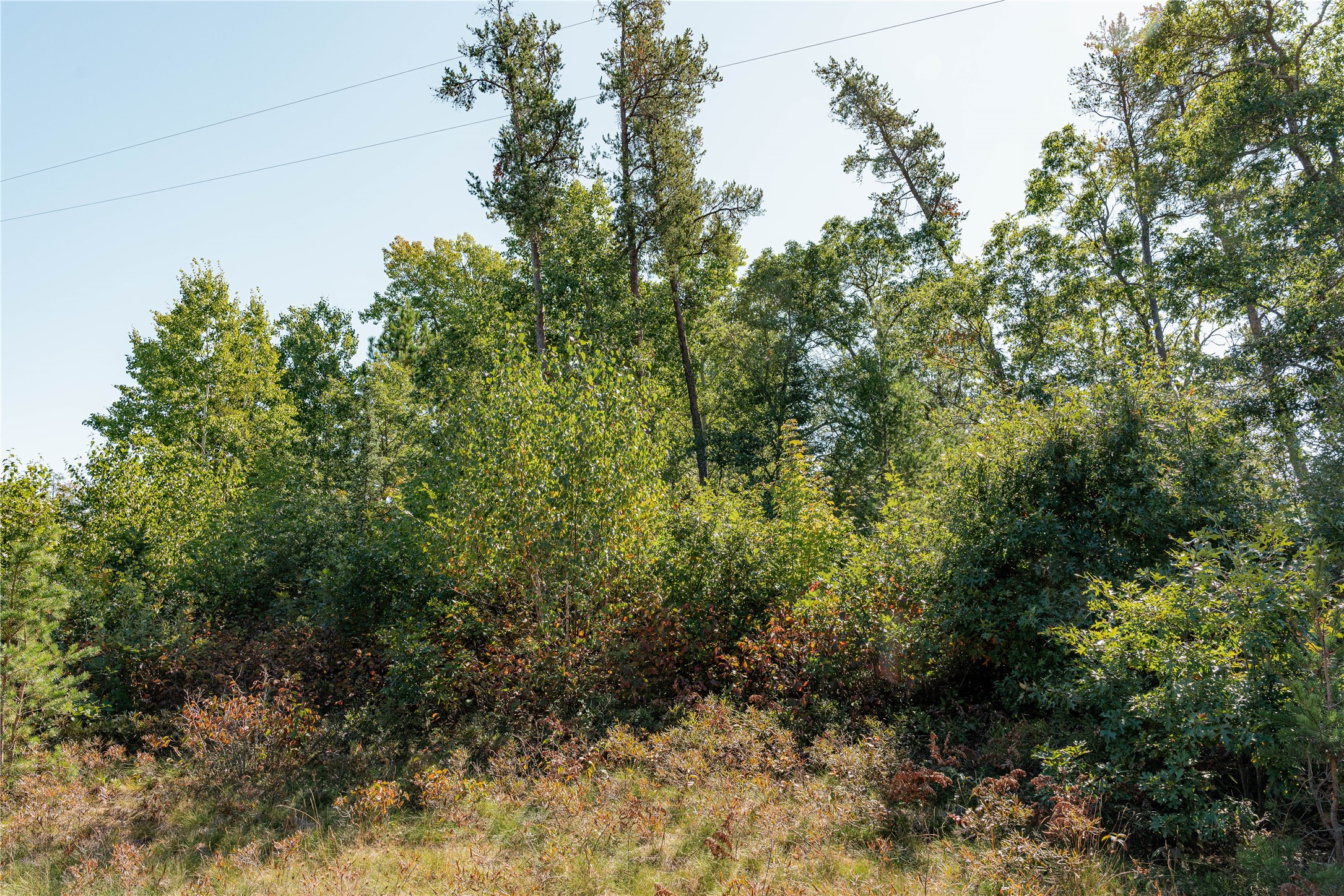 0 County Road T Property Photo 5