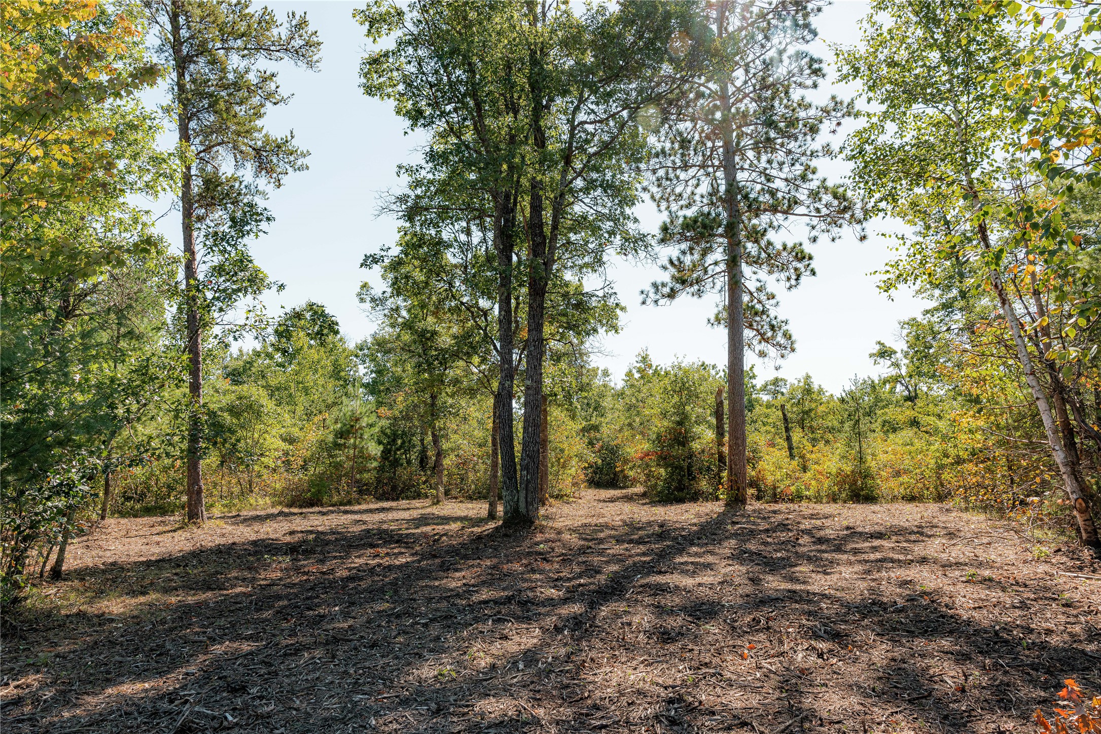 0 County Road T Property Photo 8