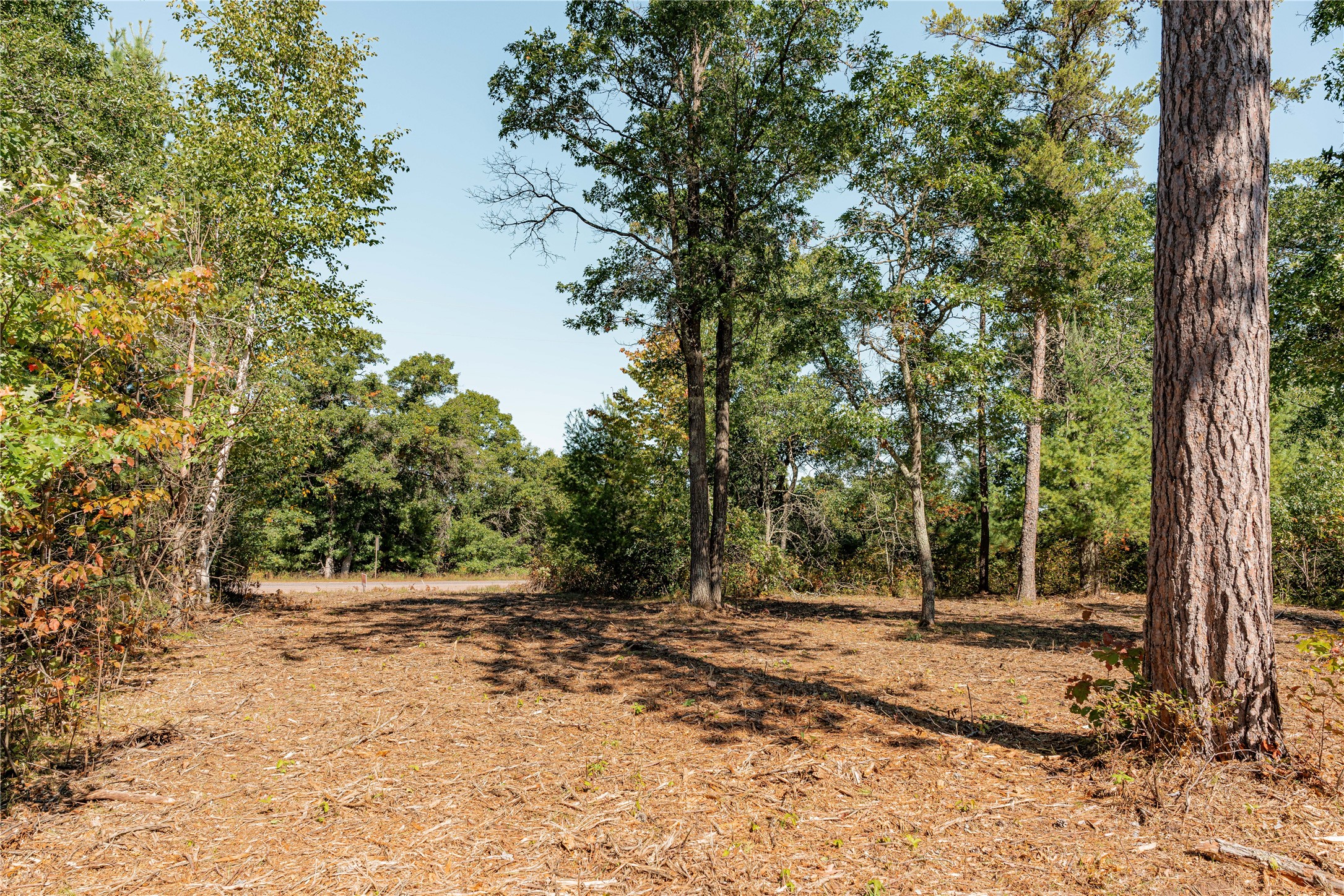 0 County Road T Property Photo 9