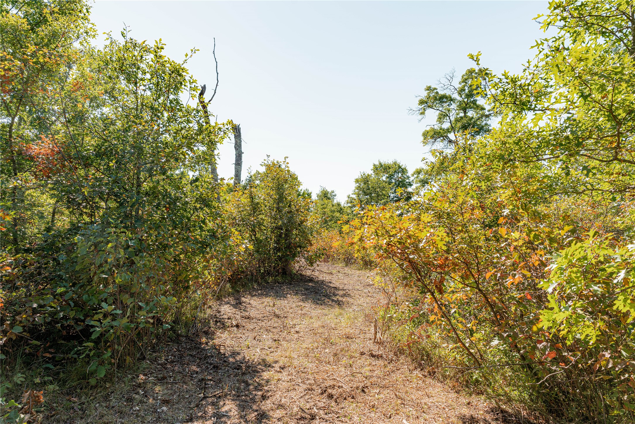 0 County Road T Property Photo 10