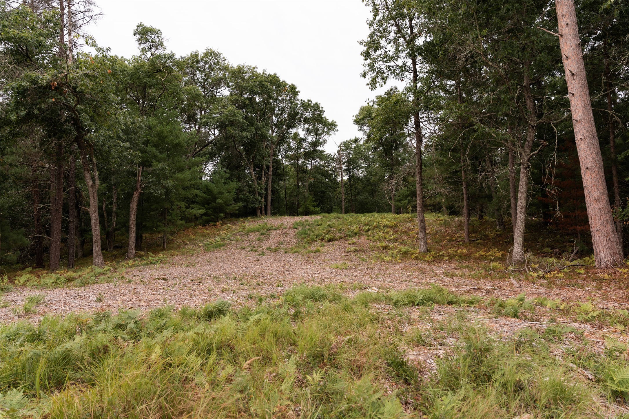 9026 W Wood Duck Lane Property Photo 10