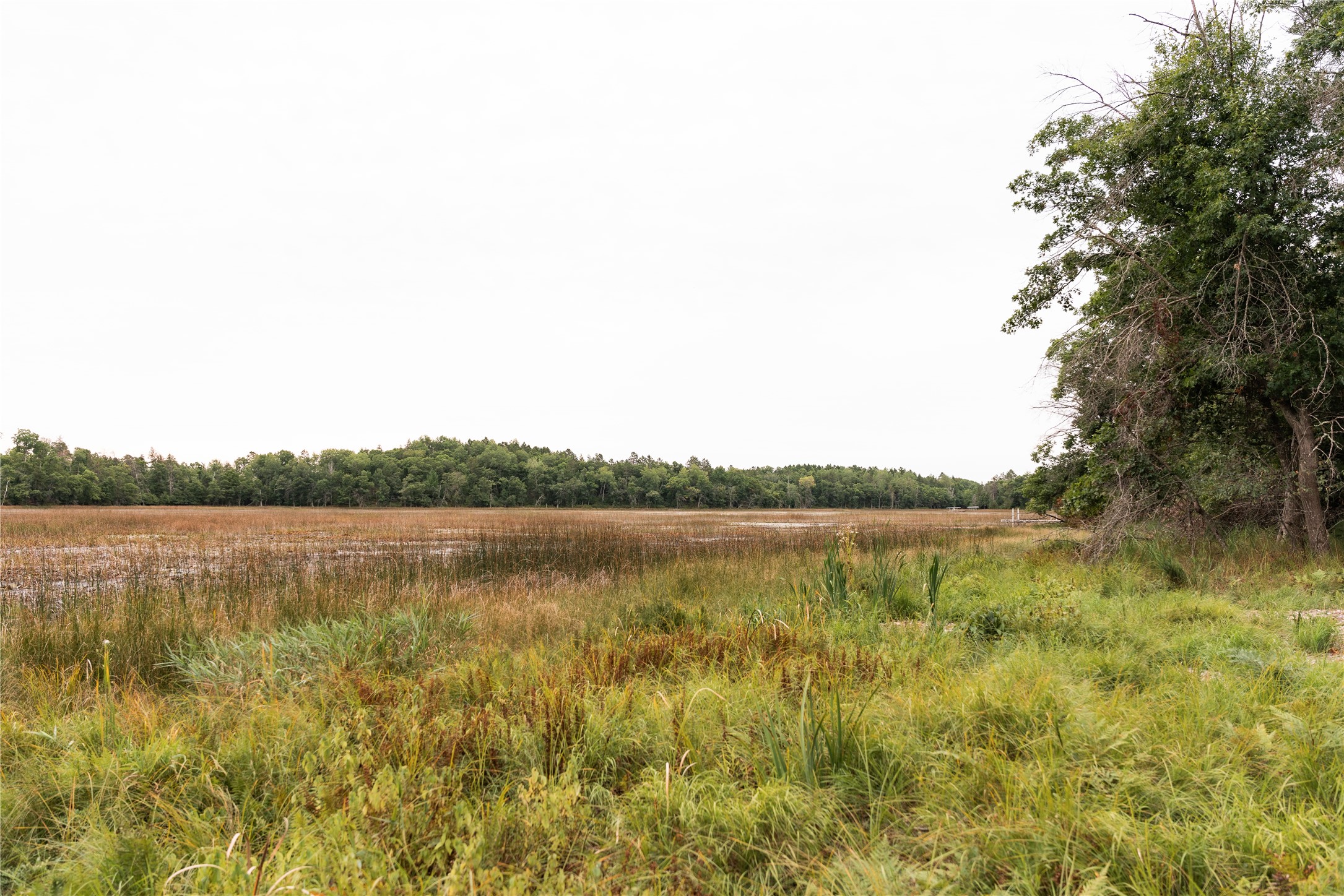 9026 W Wood Duck Lane Property Photo 11