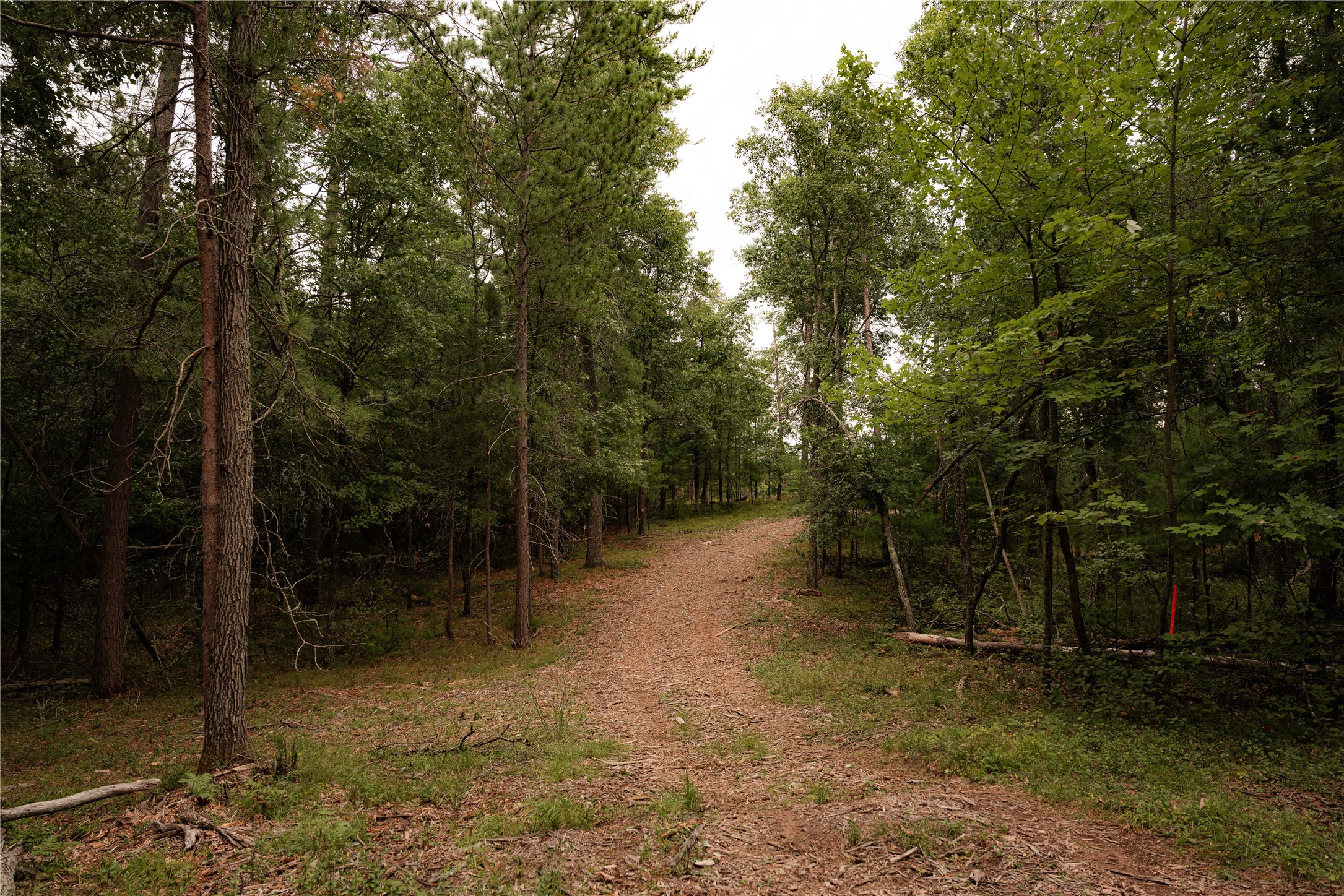 9026 W Wood Duck Lane Property Photo 14