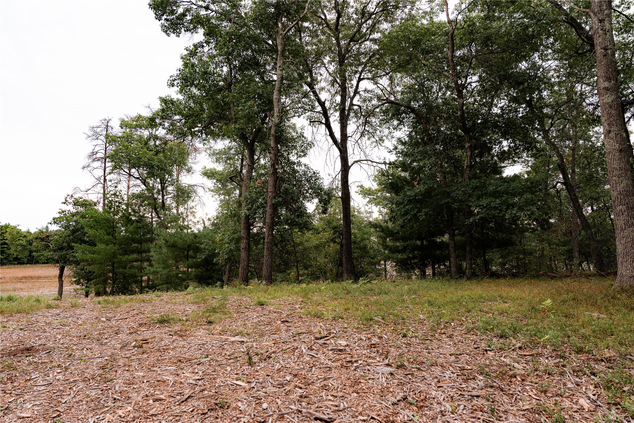 9026 W Wood Duck Lane Property Photo 15