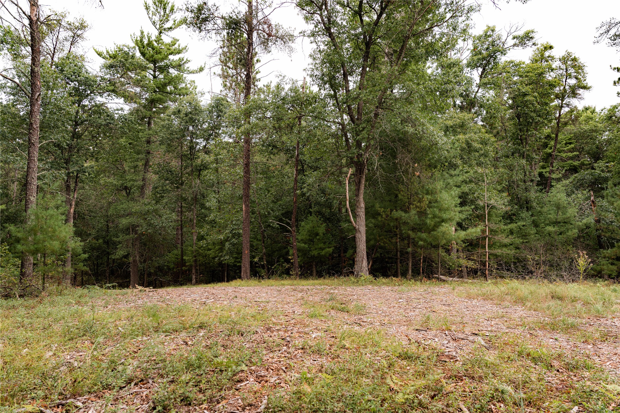 9026 W Wood Duck Lane Property Photo 17
