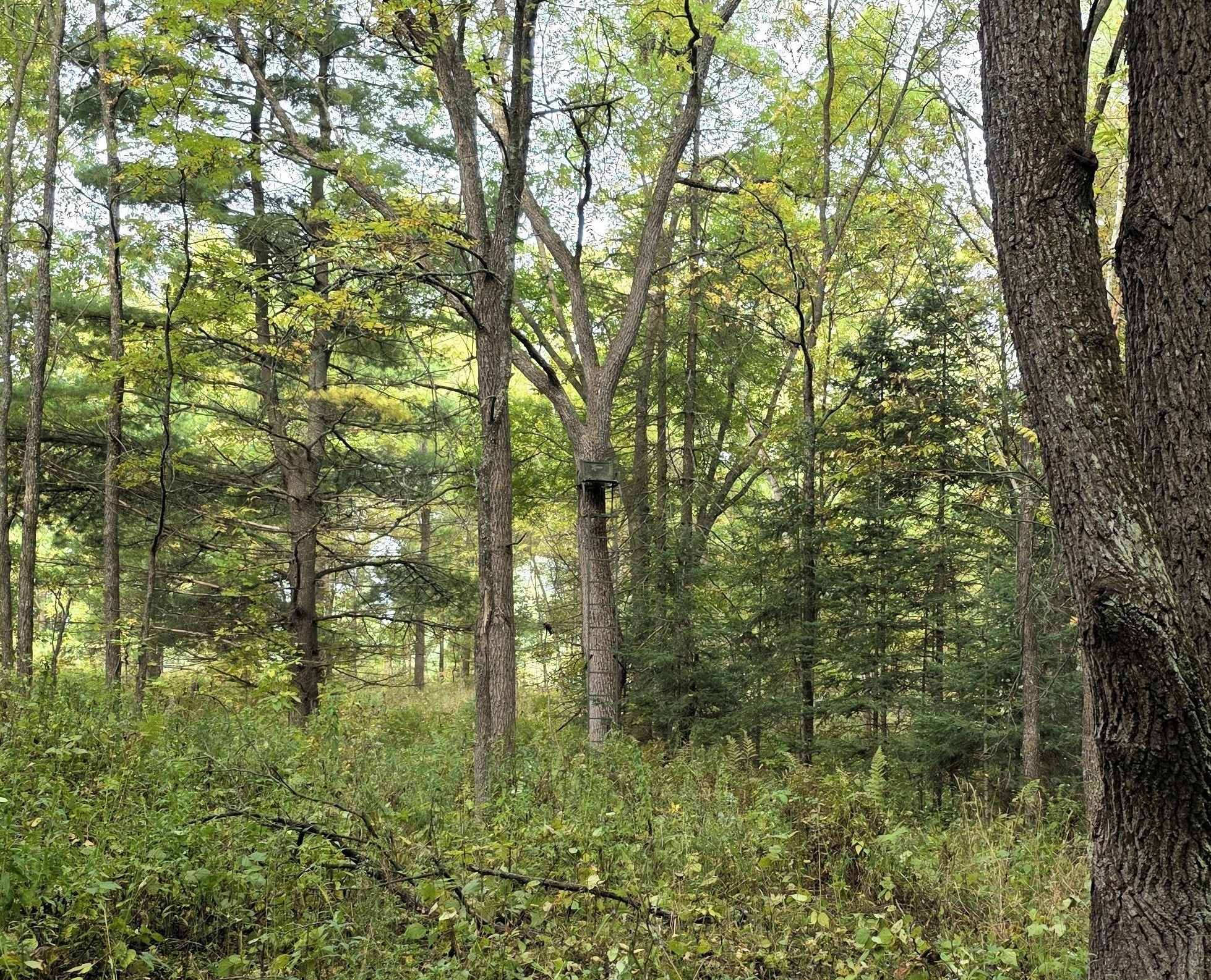 N 3368 Sawdust Rd. Property Photo 25