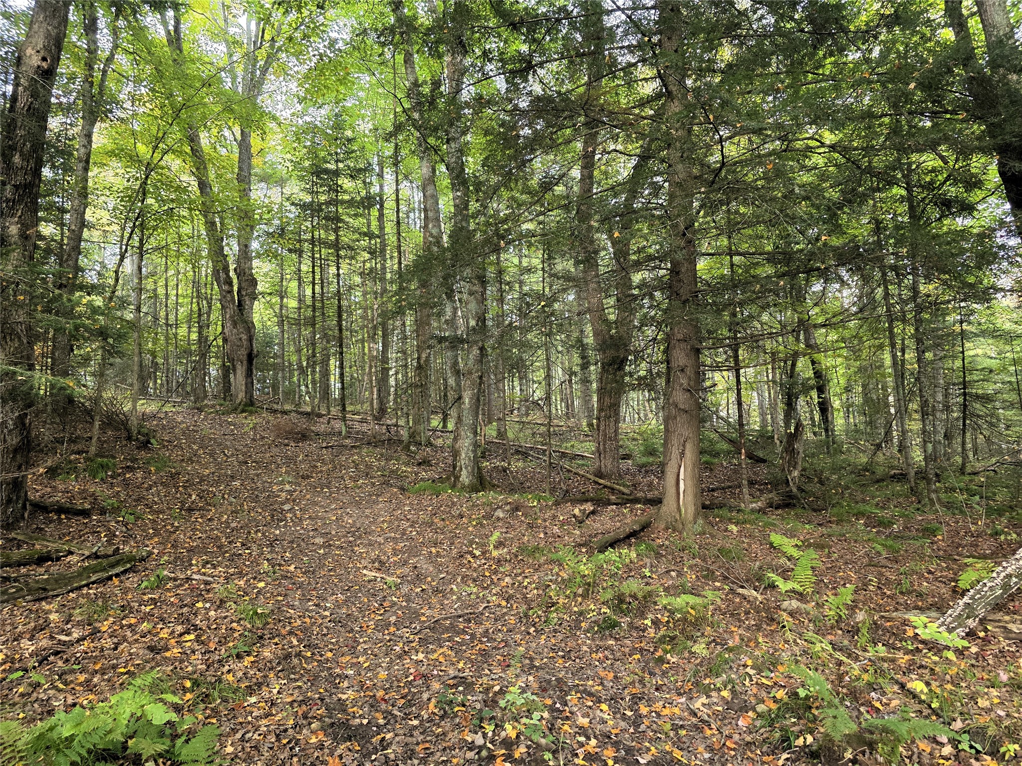 N 3368 Sawdust Rd. Property Photo 27