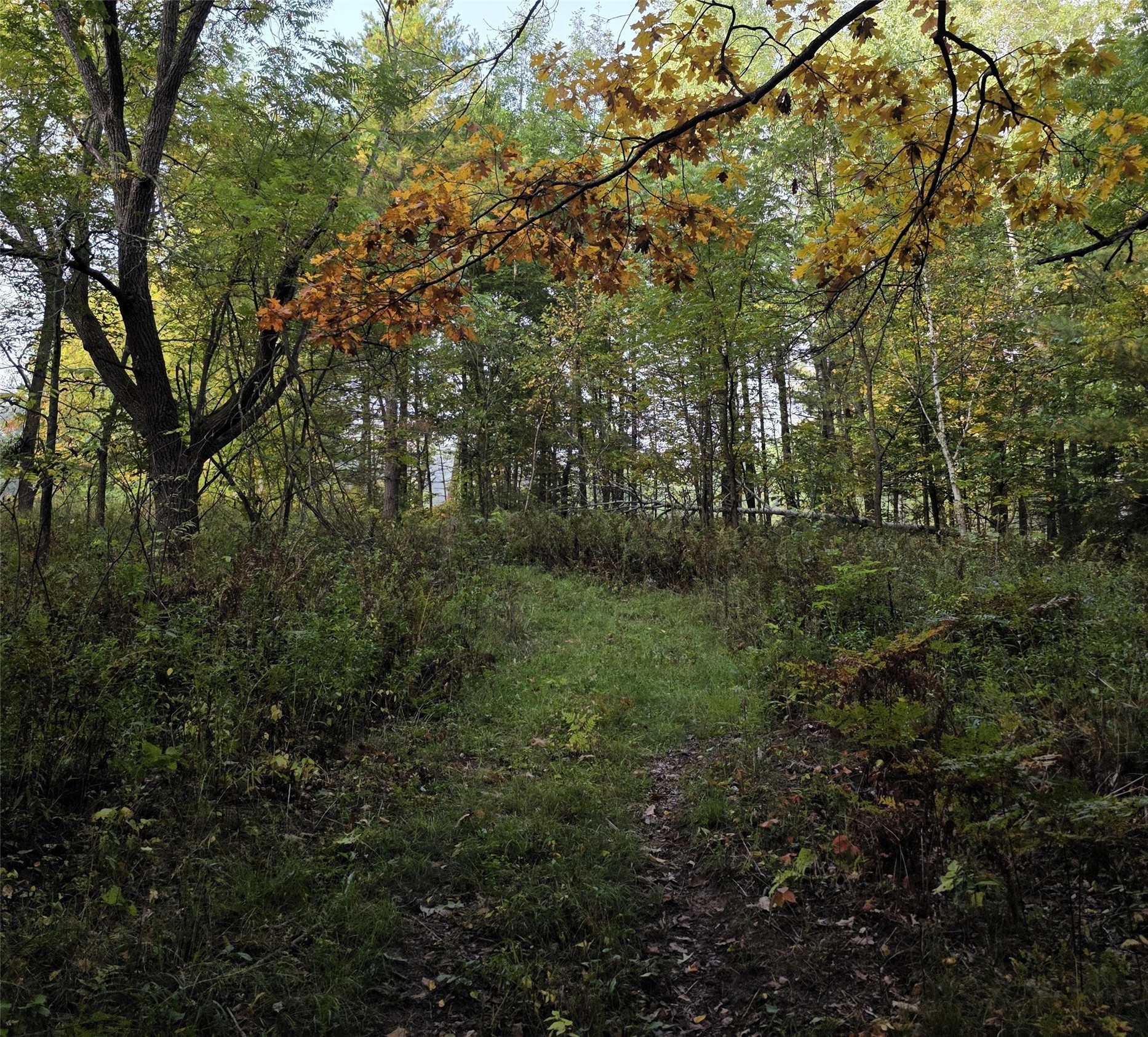 N 3368 Sawdust Rd. Property Photo 28