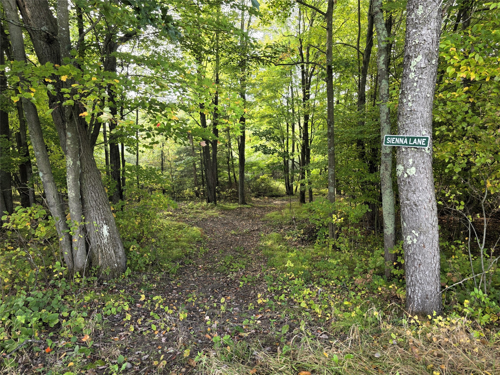 N 3368 Sawdust Rd. Property Photo 33