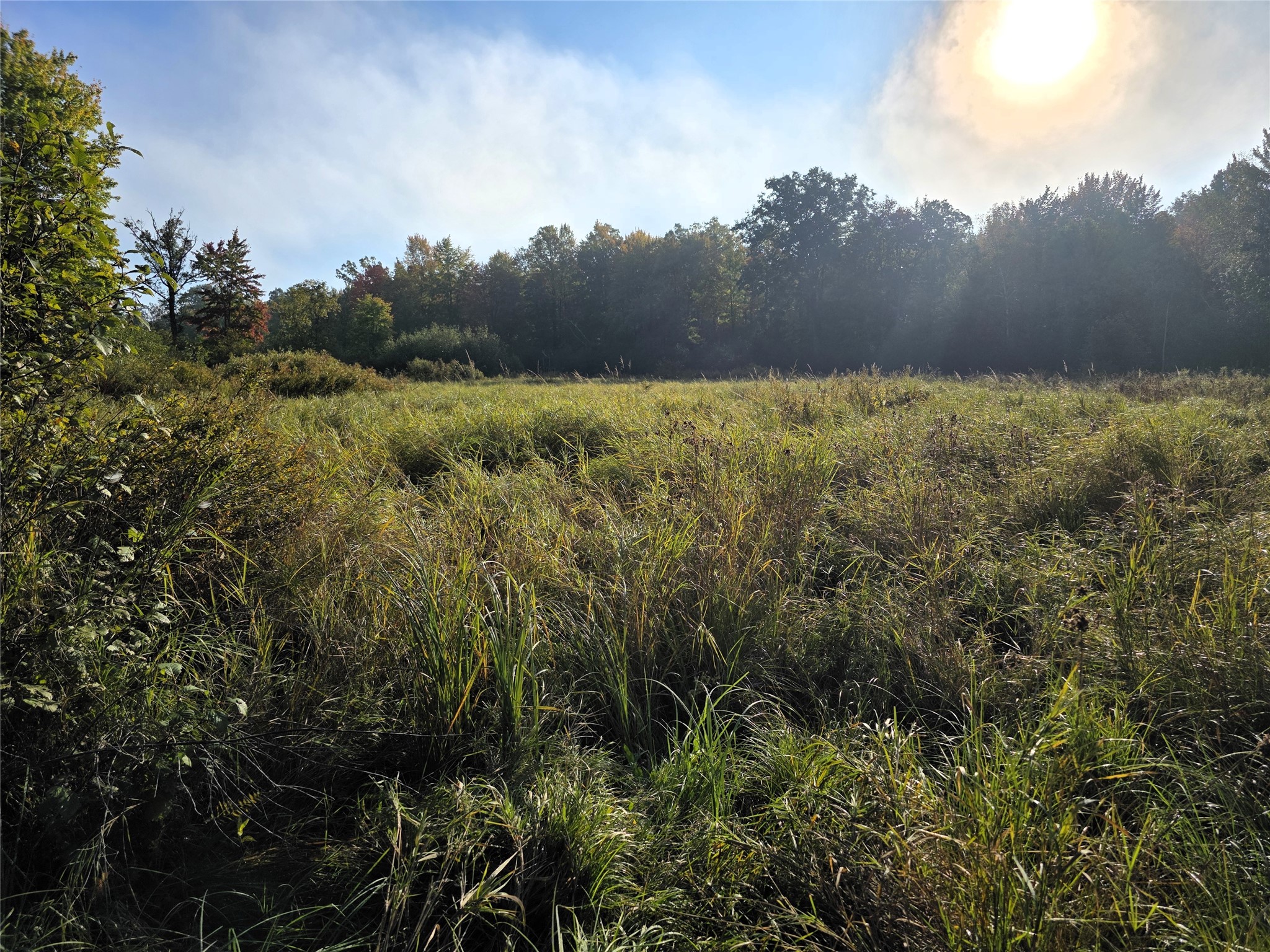 N 3368 Sawdust Rd. Property Photo 36