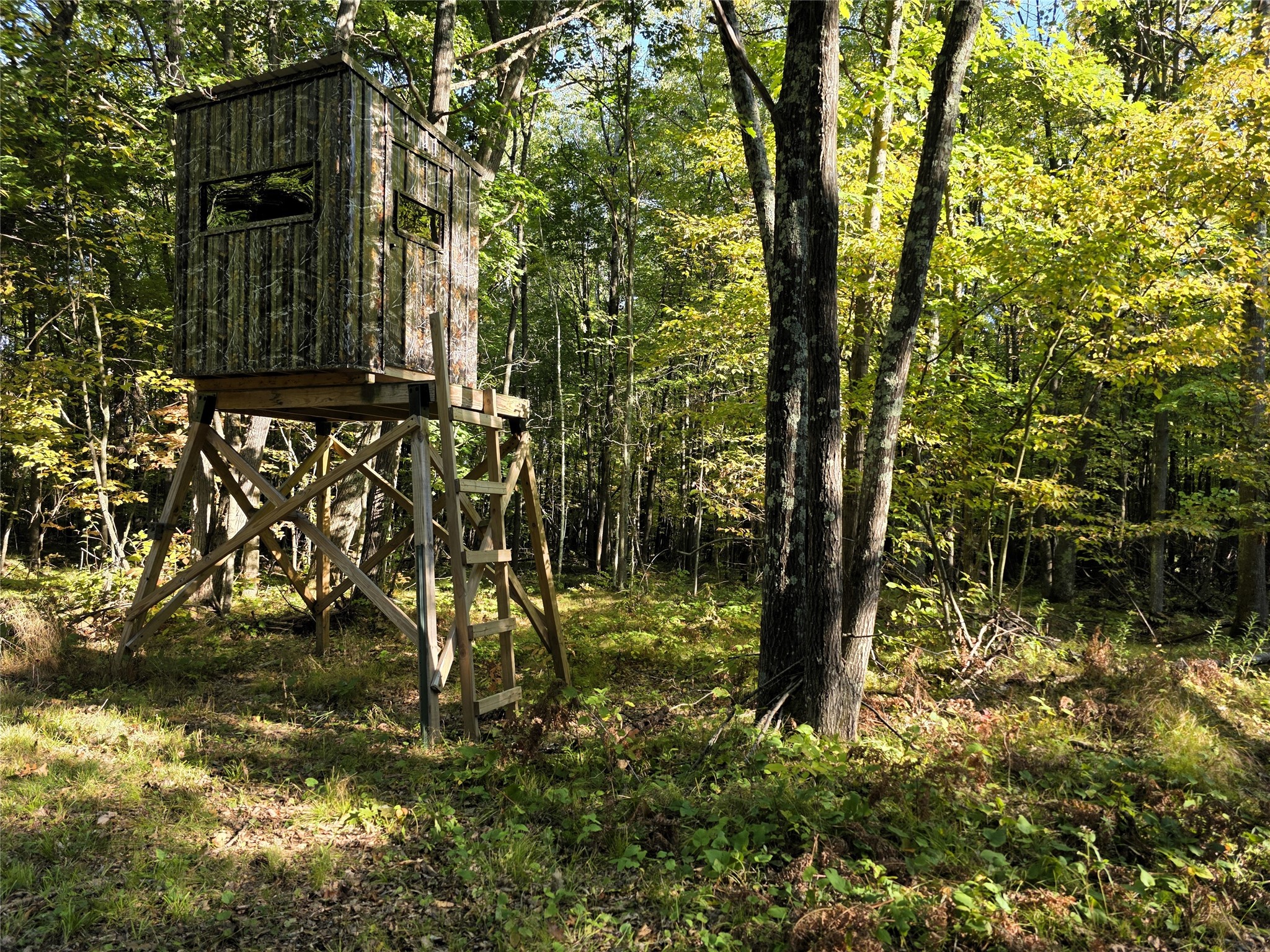 N 3368 Sawdust Rd. Property Photo 40