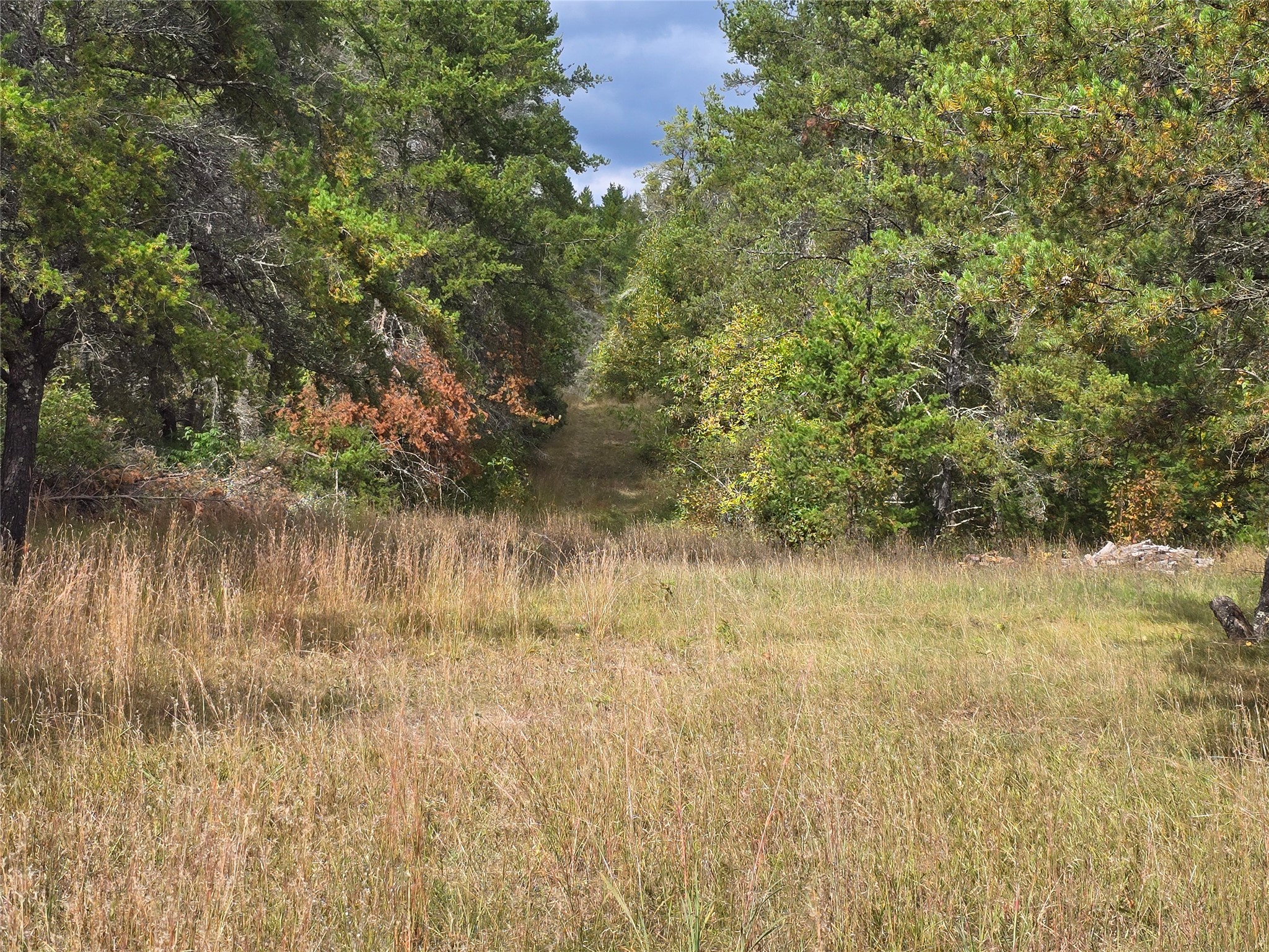 0 Barrett Trail Property Photo 1