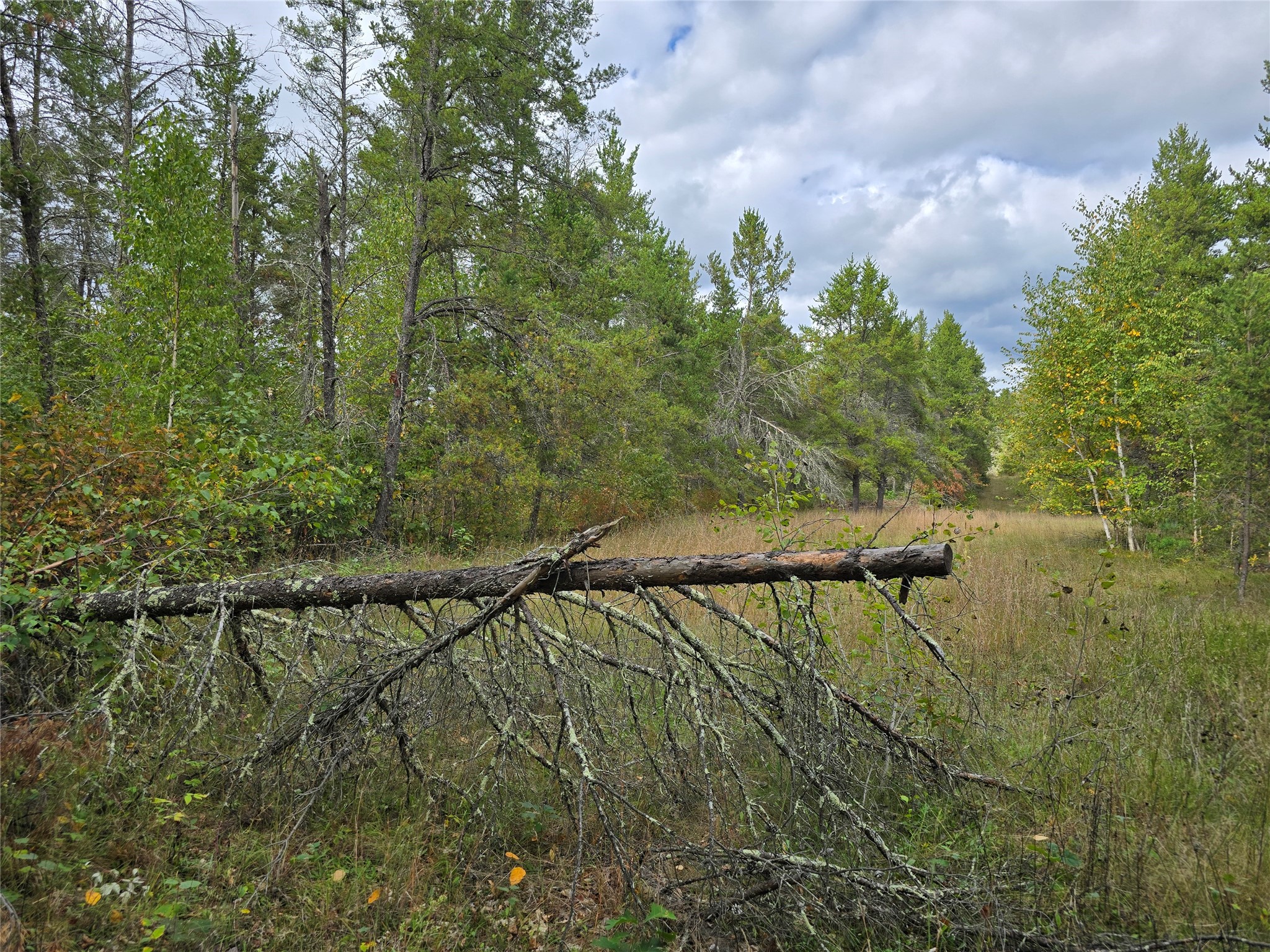 0 Barrett Trail Property Photo 2