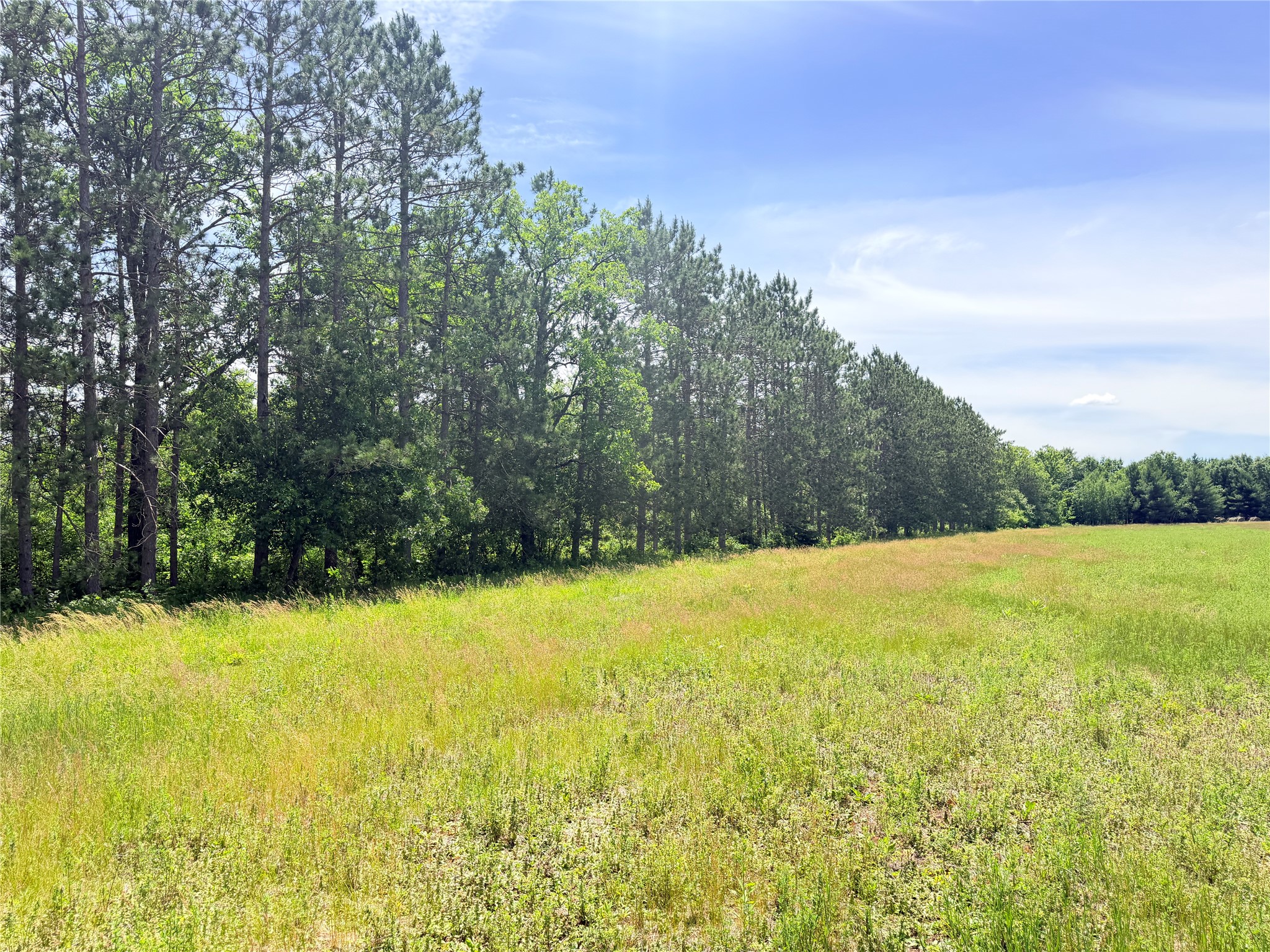 Lot 1 Boat Landing Road Property Photo 1