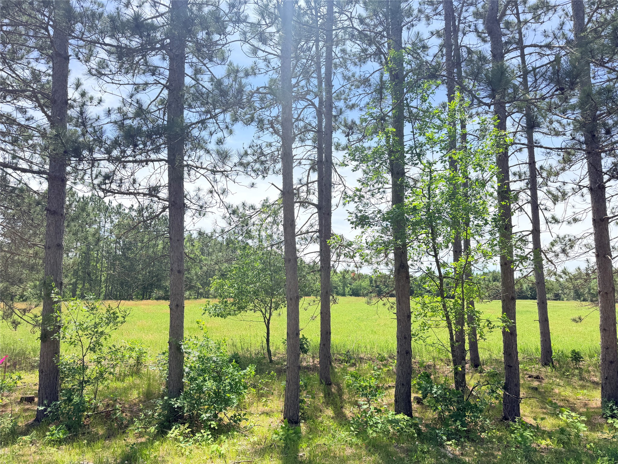 Lot 1 Boat Landing Road Property Photo 7