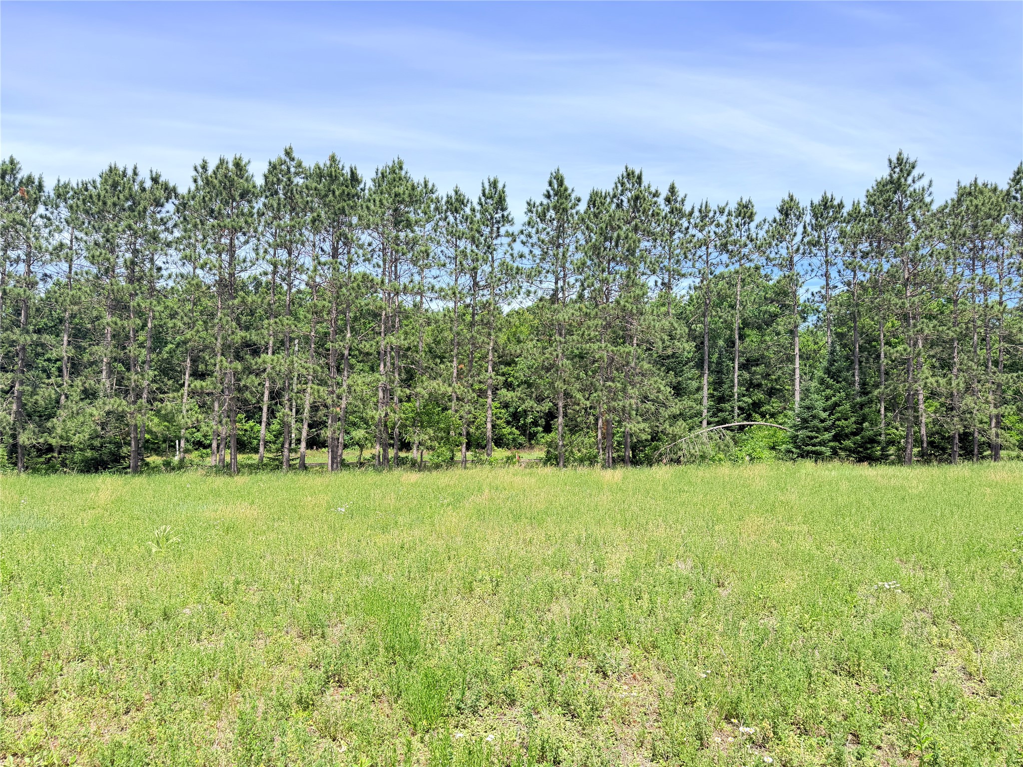 Lot 1 Boat Landing Road Property Photo 8