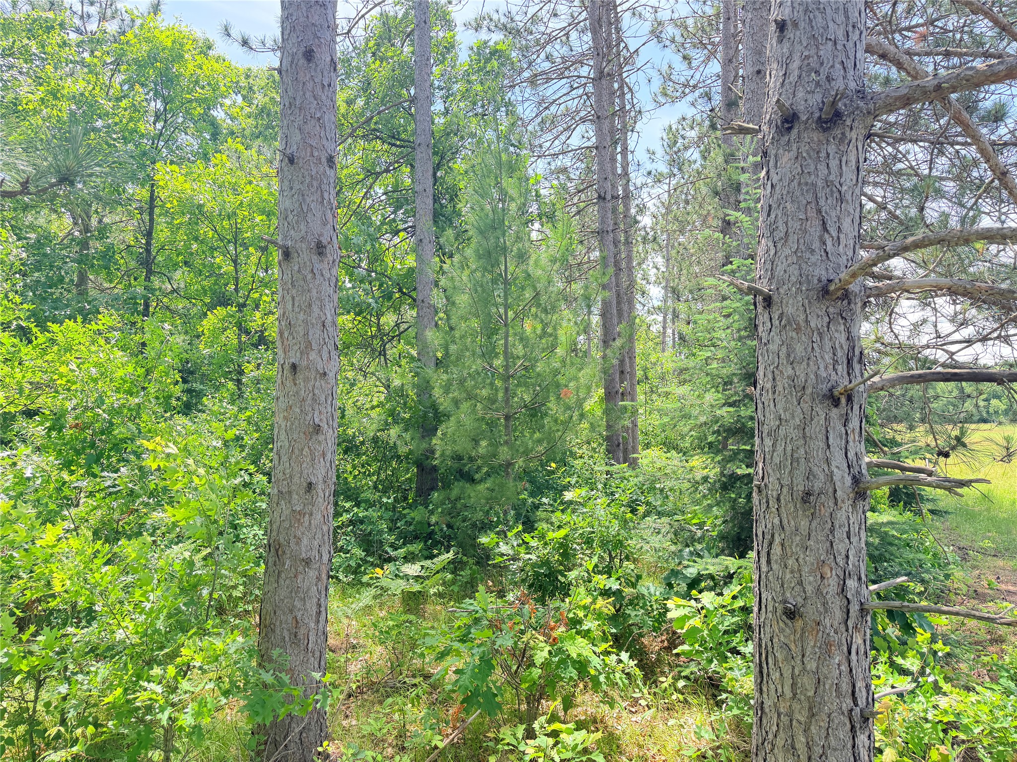 Lot 1 Boat Landing Road Property Photo 9