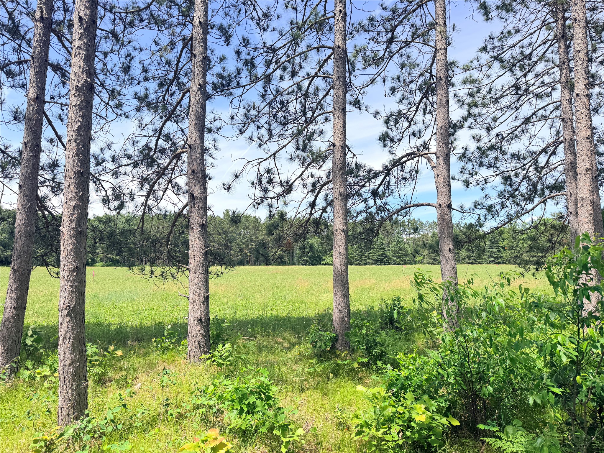Lot 1 Boat Landing Road Property Photo 10
