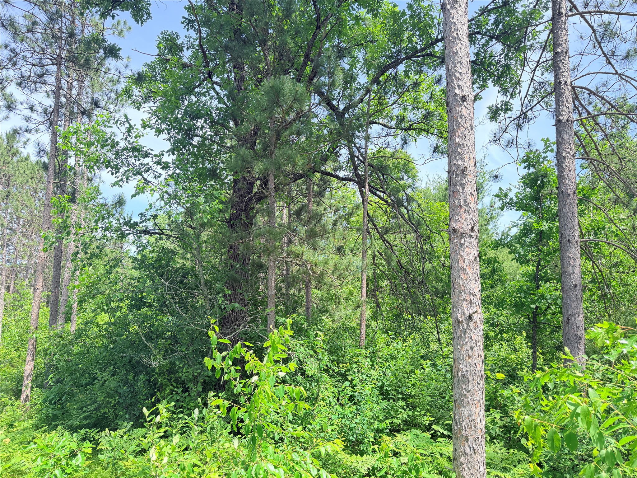 Lot 1 Boat Landing Road Property Photo 11