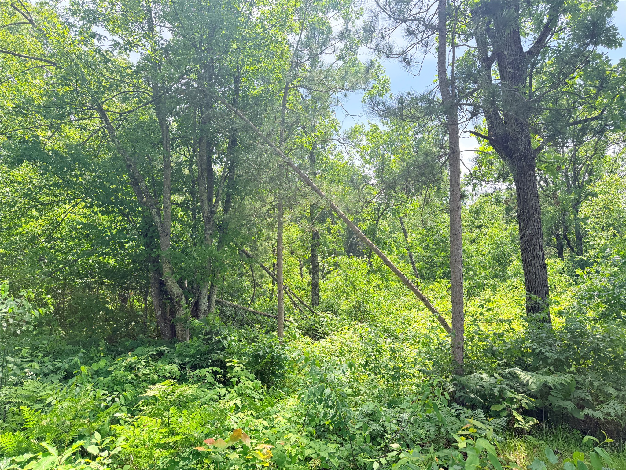 Lot 1 Boat Landing Road Property Photo 12