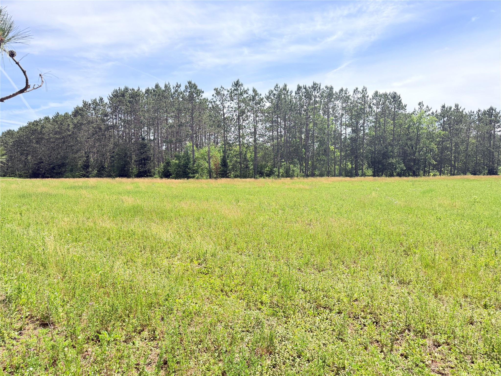 Lot 1 Boat Landing Road Property Photo 13