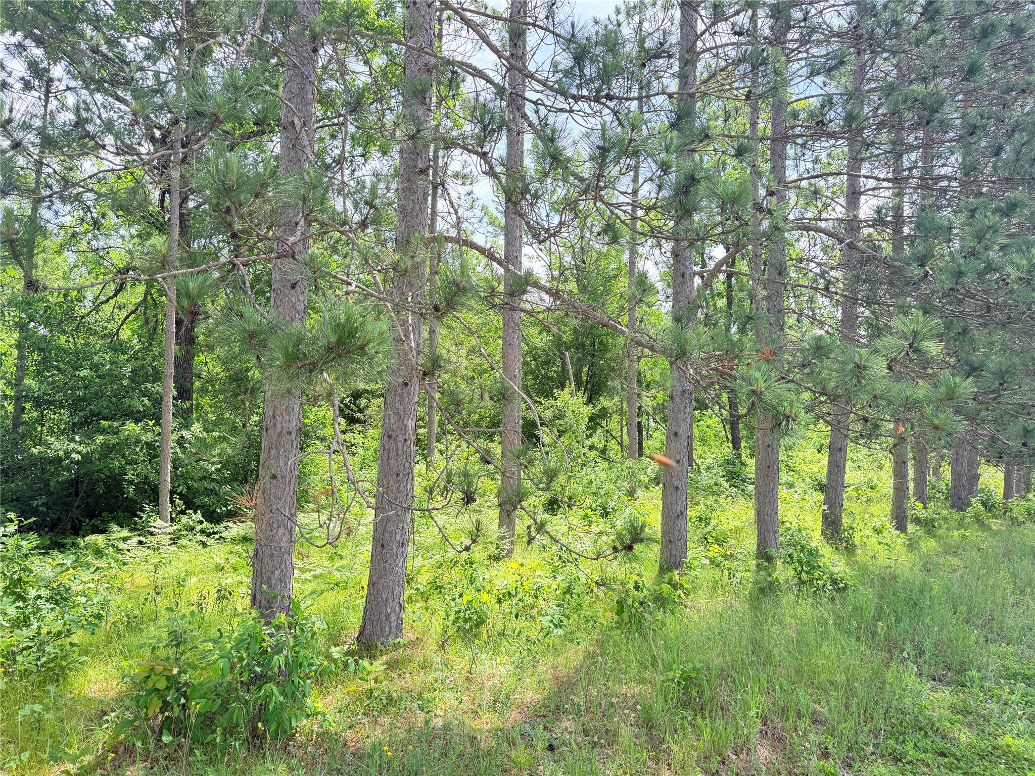 Lot 1 Boat Landing Road Property Photo 14
