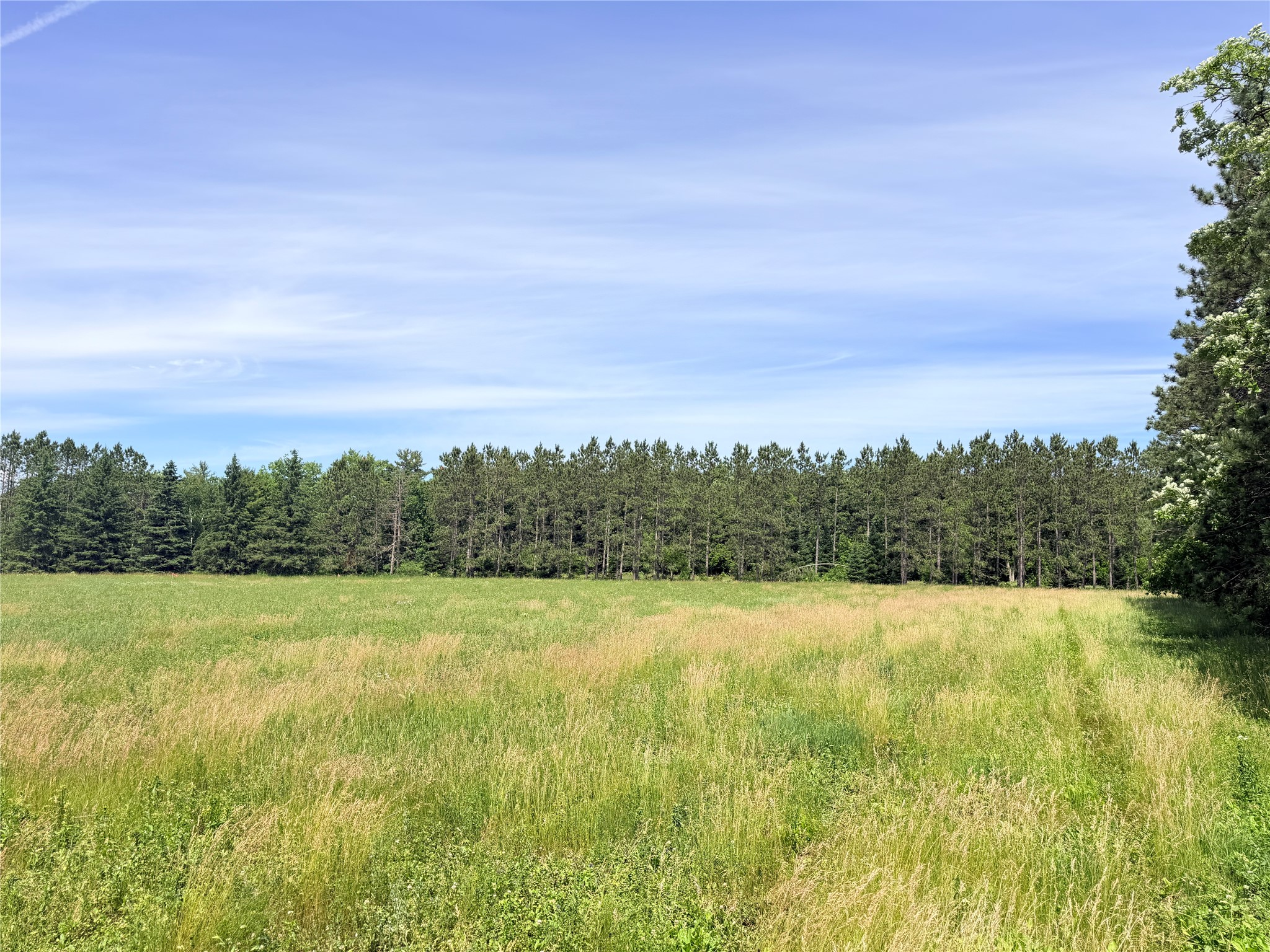 Lot 1 Boat Landing Road Property Photo 15