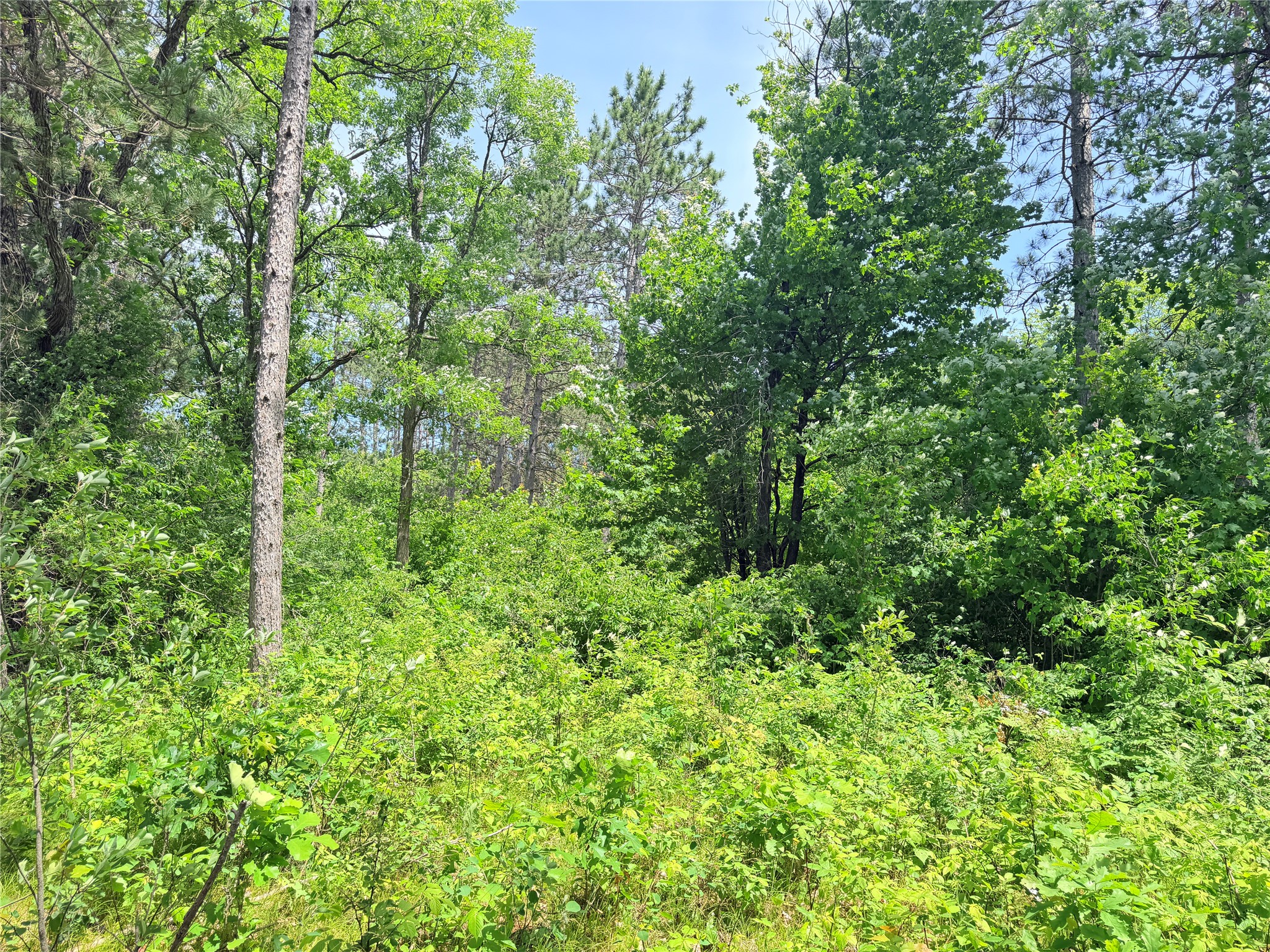 Lot 1 Boat Landing Road Property Photo 16