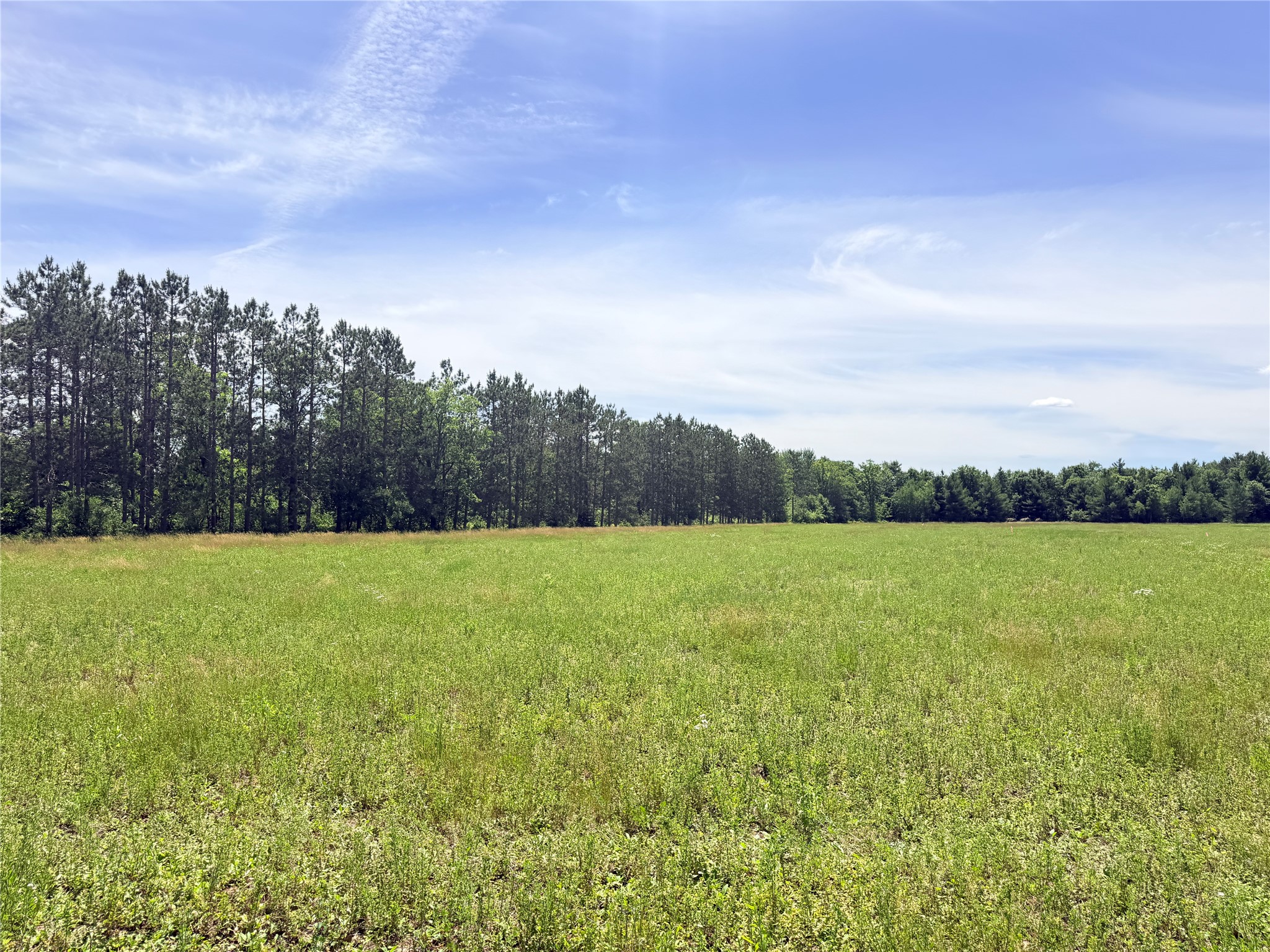 Lot 1 Boat Landing Road Property Photo 17