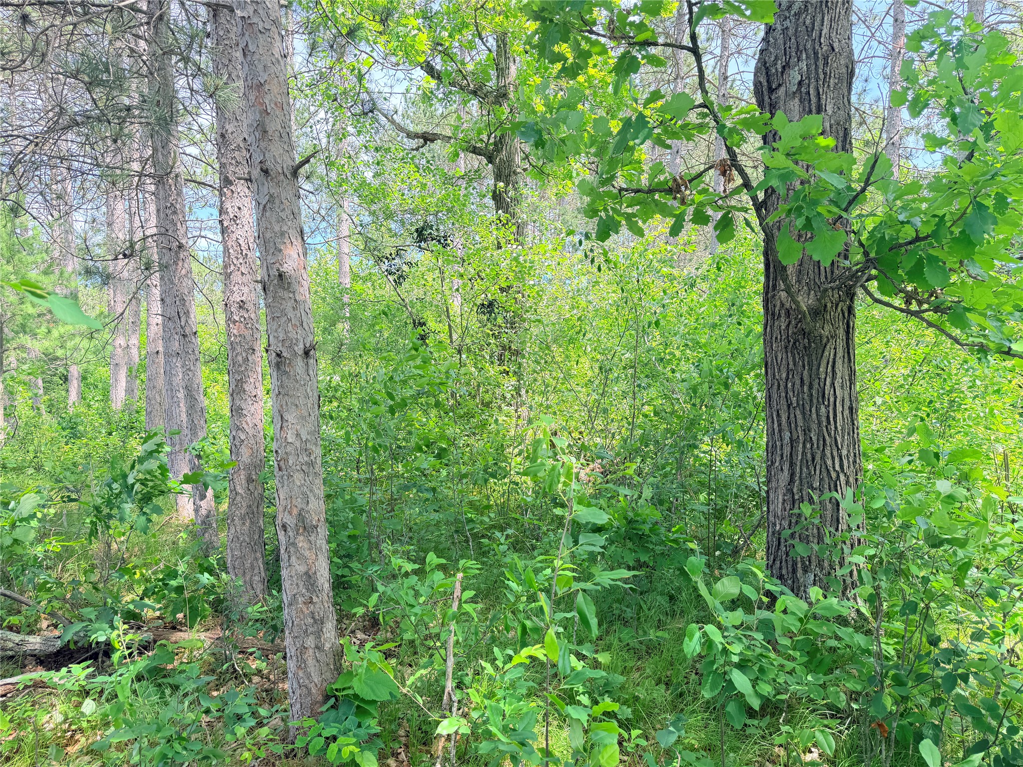 Lot 1 Boat Landing Road Property Photo 18