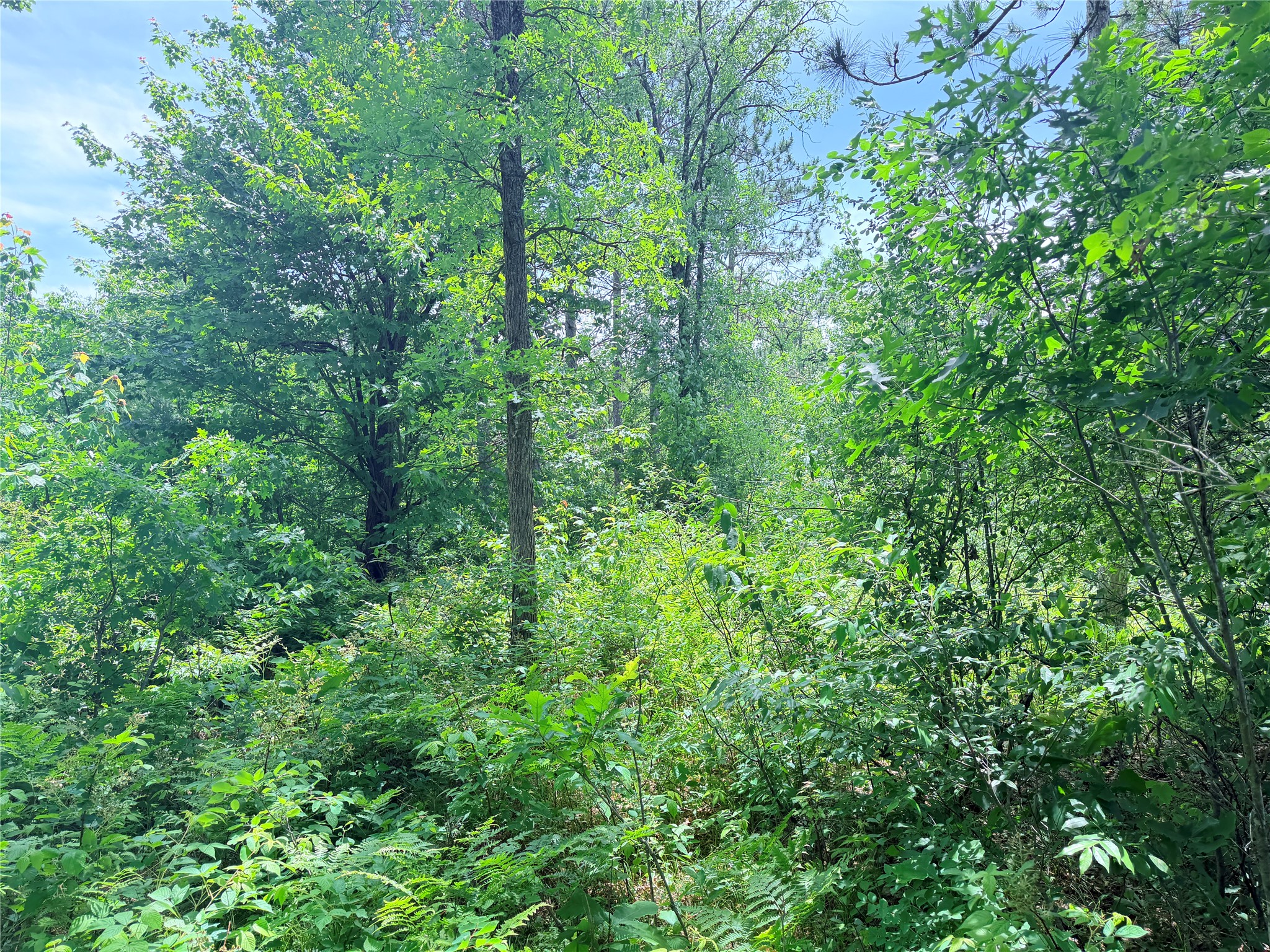 Lot 1 Boat Landing Road Property Photo 19