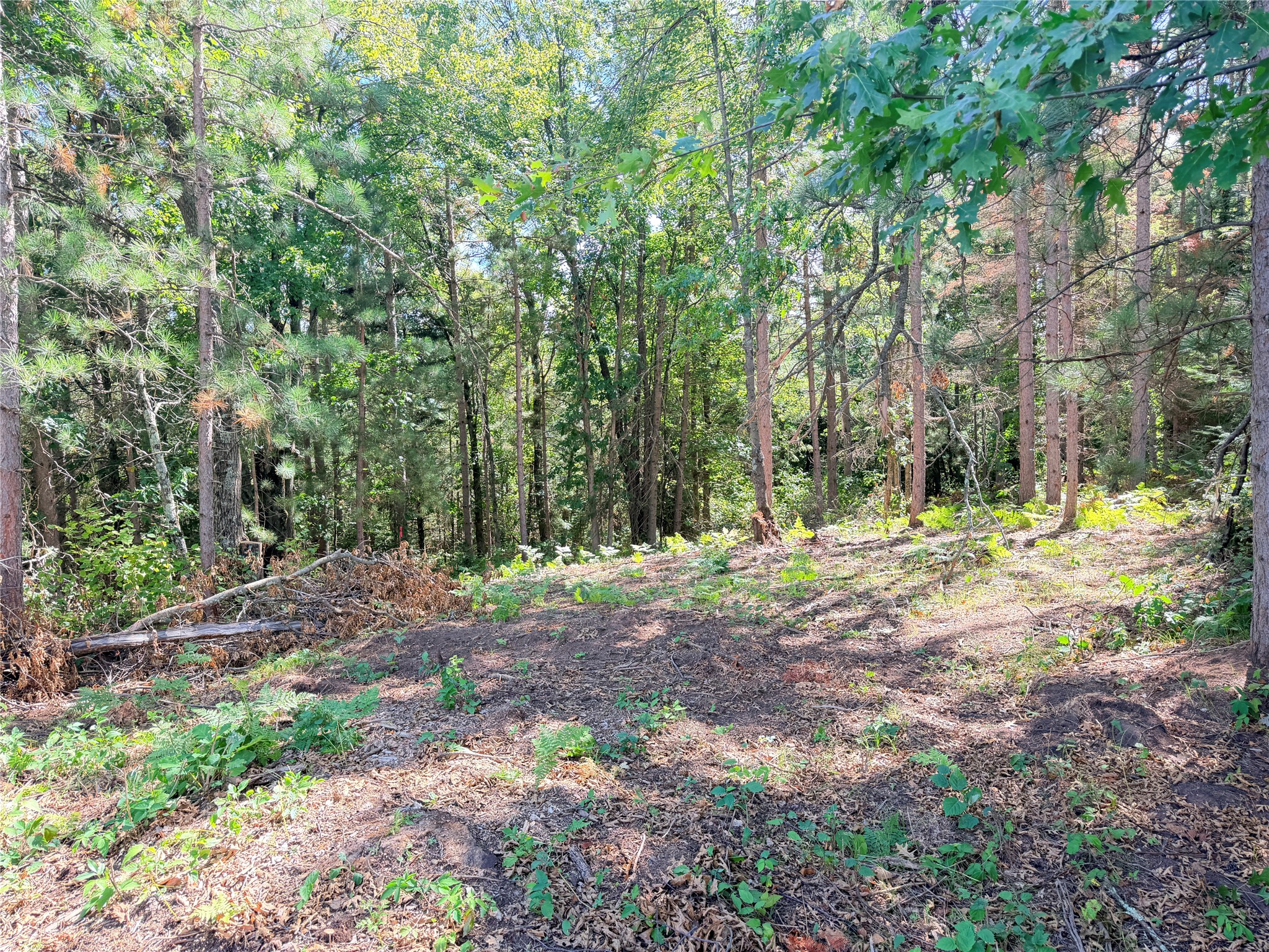 Lot 3 Boat Landing Road Property Photo 1