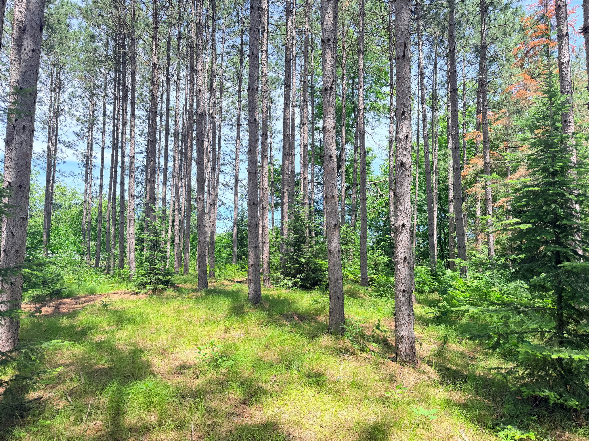 Lot 3 Boat Landing Road Property Photo 4