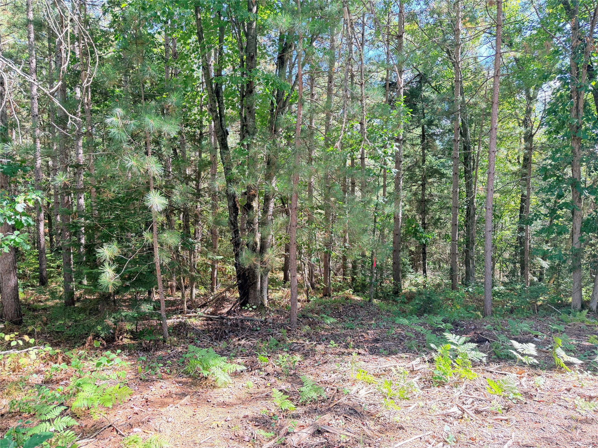 Lot 3 Boat Landing Road Property Photo 7