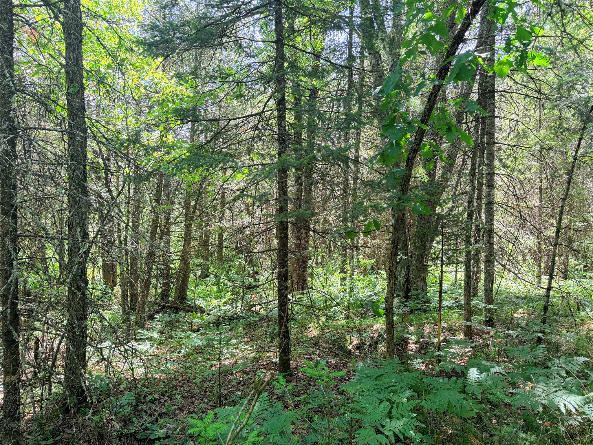 Lot 3 Boat Landing Road Property Photo 8