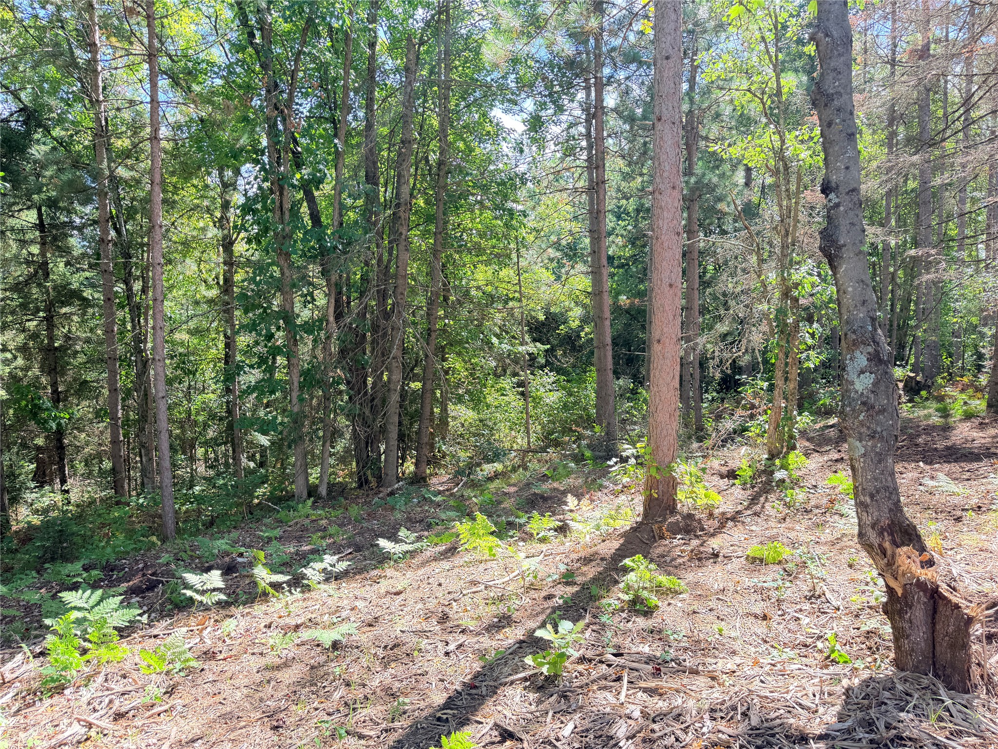 Lot 3 Boat Landing Road Property Photo 9