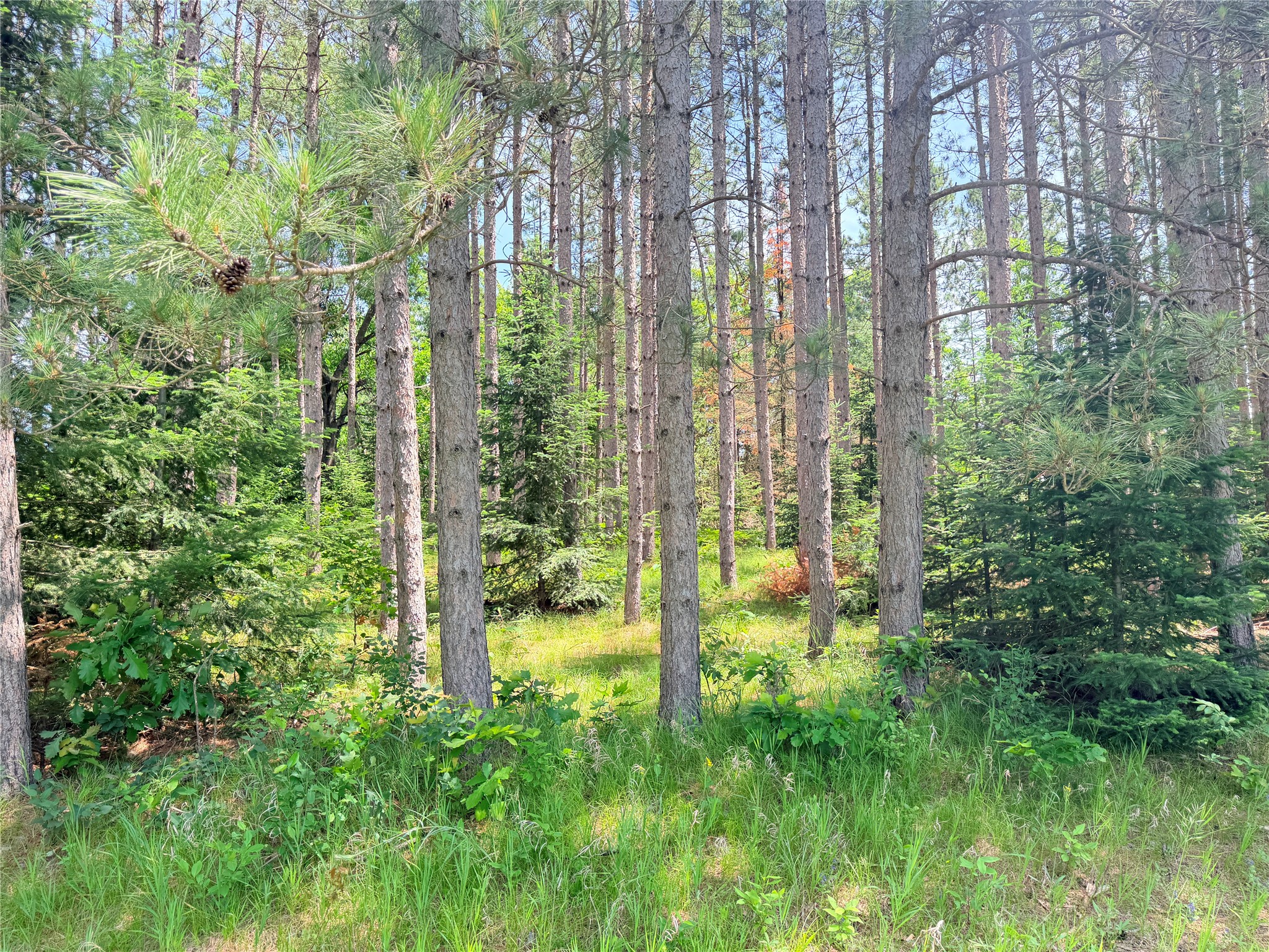 Lot 3 Boat Landing Road Property Photo 10